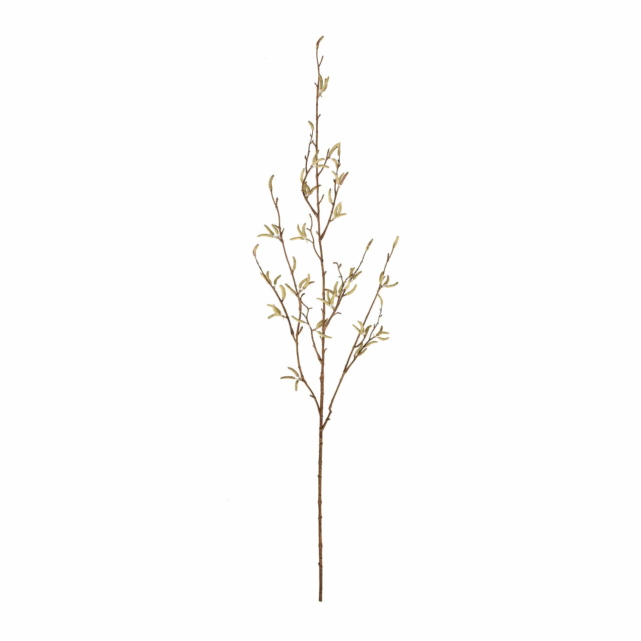 Alder Spray