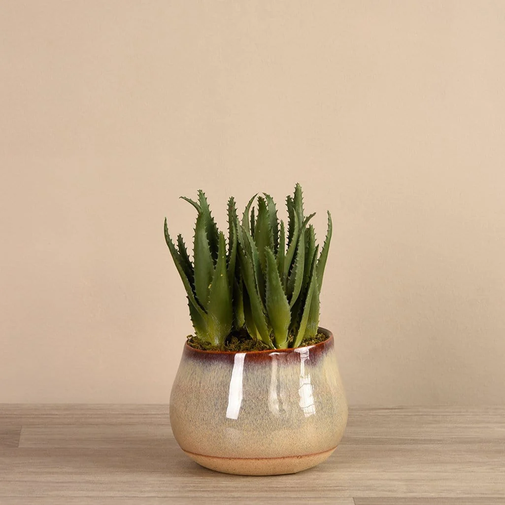 Artificial Santa Fe Aloe Arrangement - Image 2