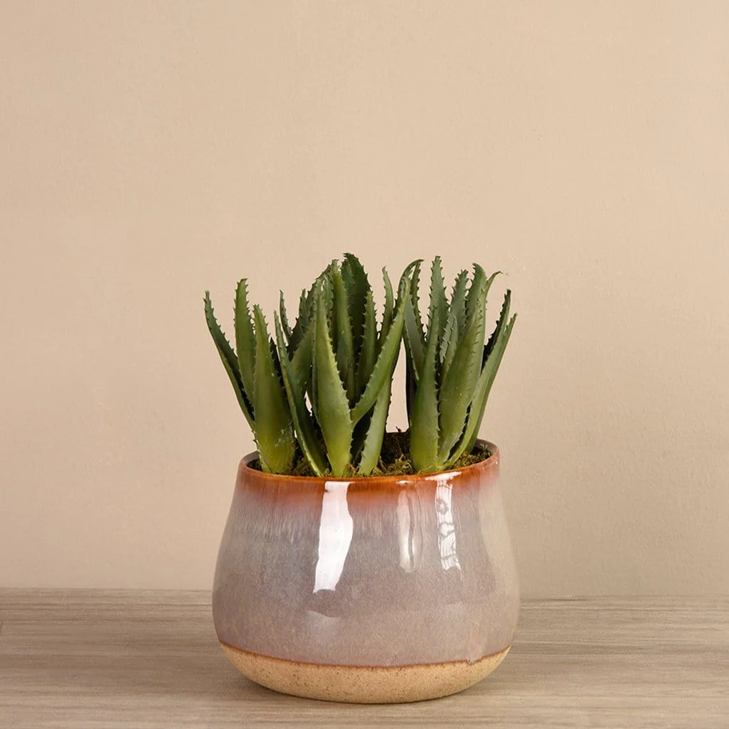 Artificial Santa Fe Aloe Arrangement - Image 3