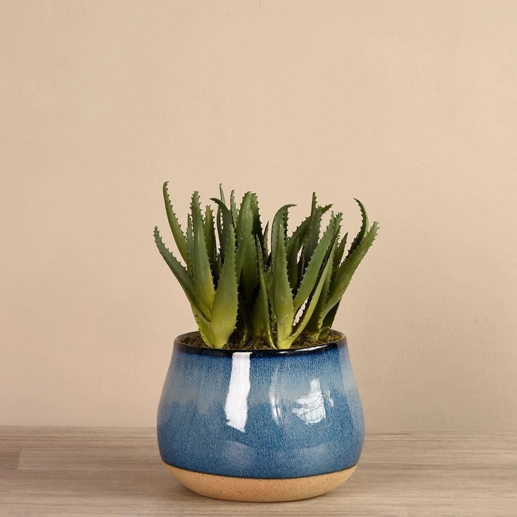Artificial Santa Fe Aloe Arrangement - Image 3