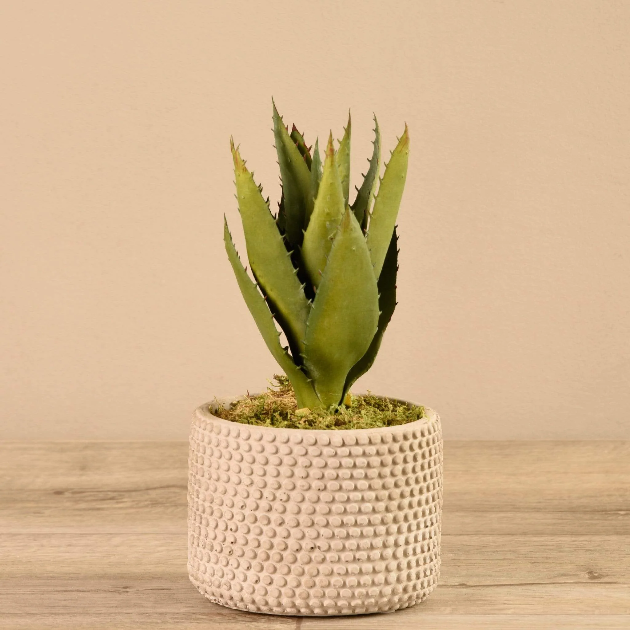 Artificial Aloe in Cement Pot - Image 2