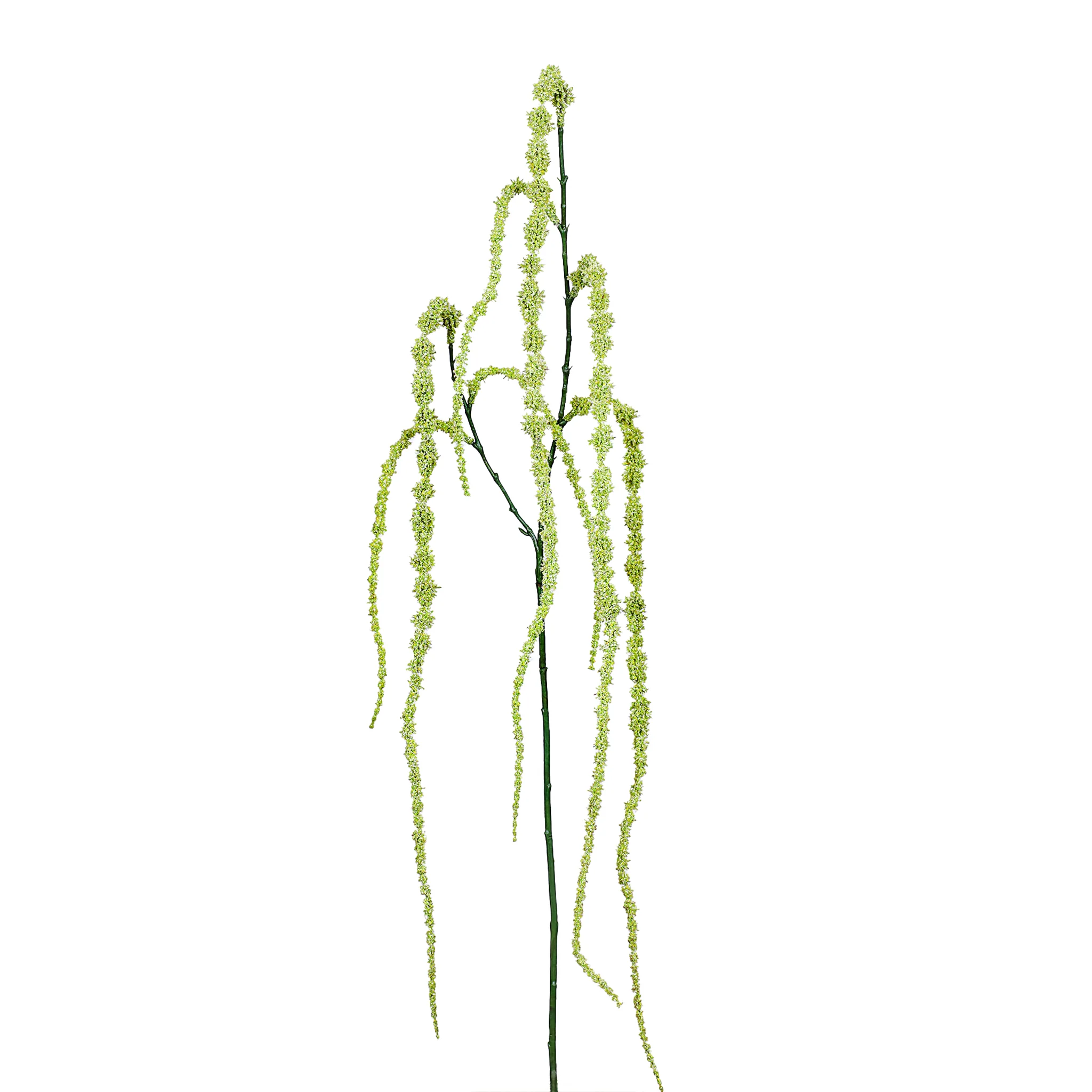 Amaranthus Spray