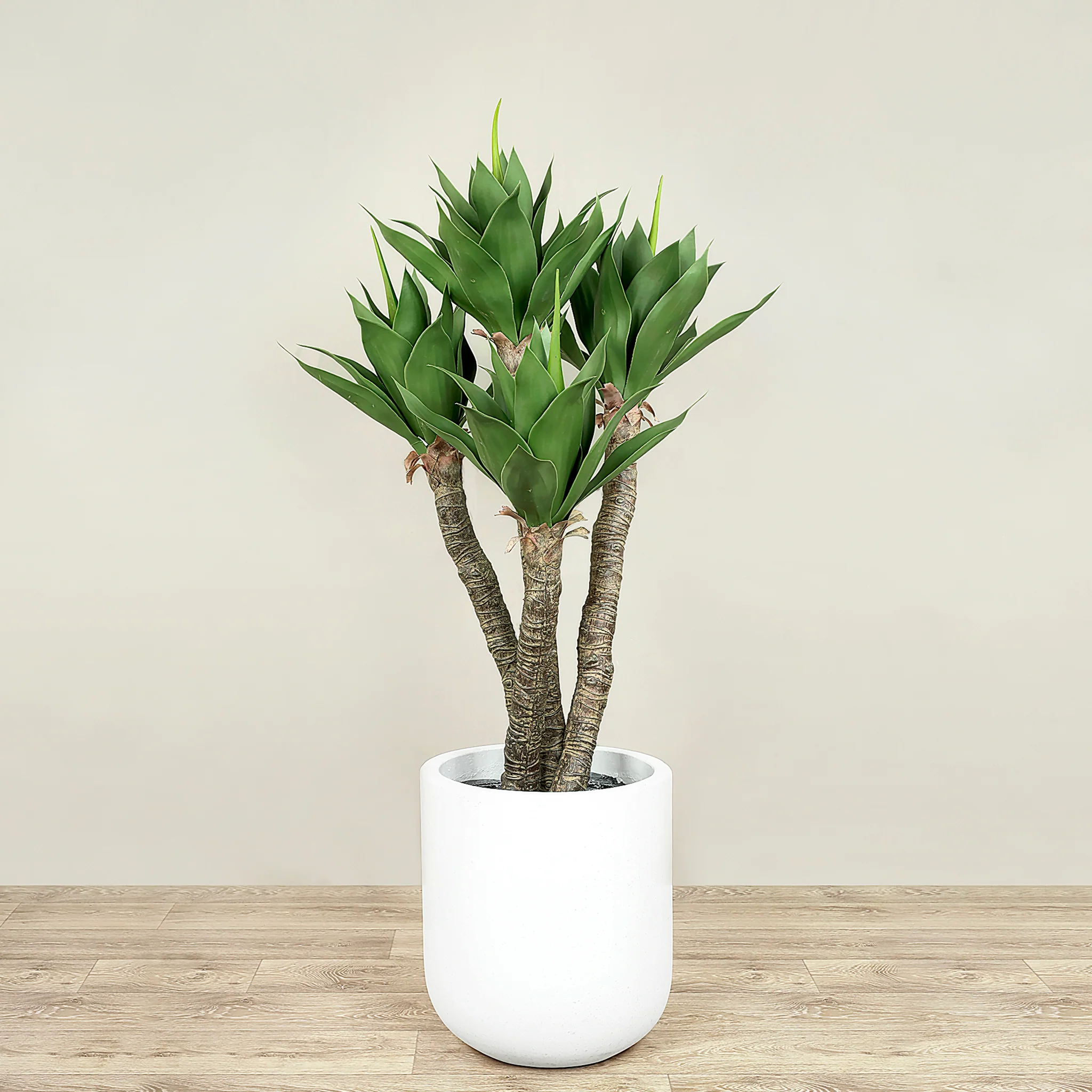 Artificial Agave Tree 135cm