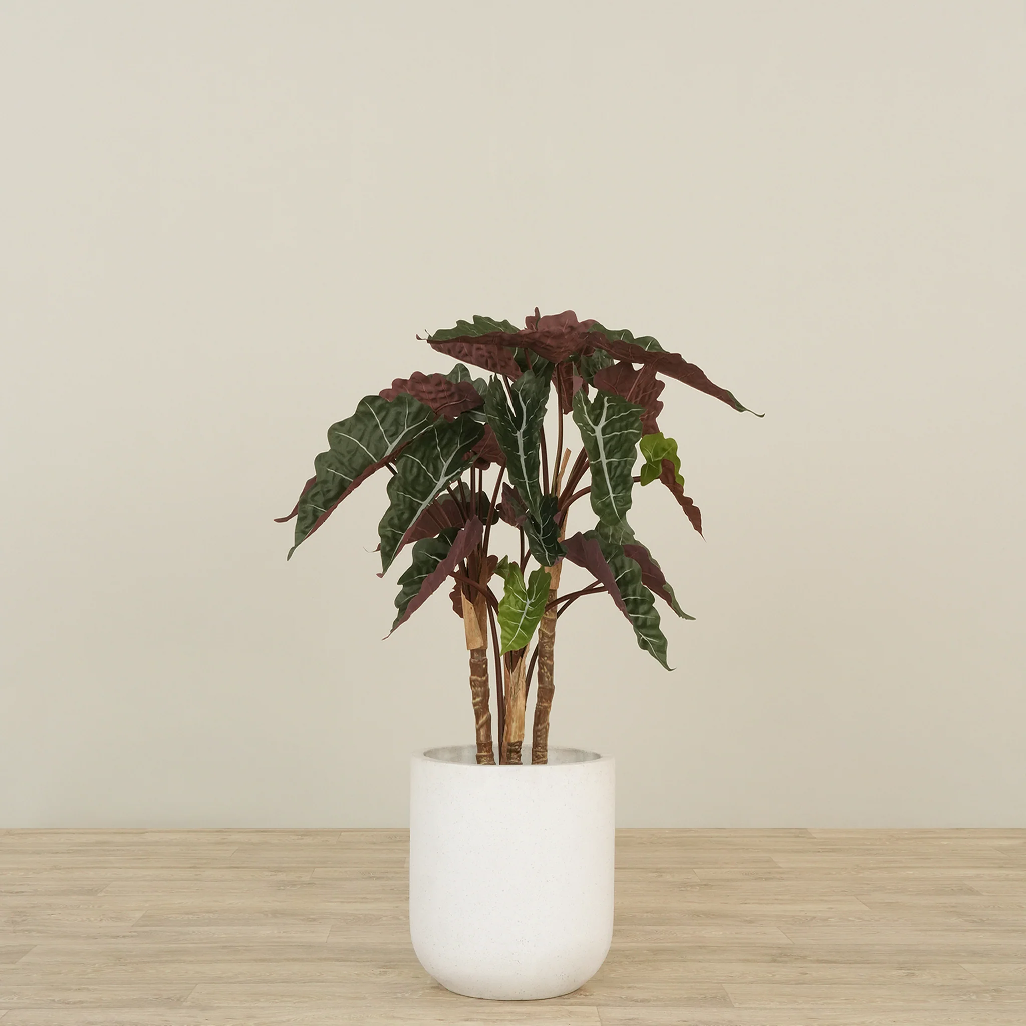 Artificial Alocasia Tree 80cm