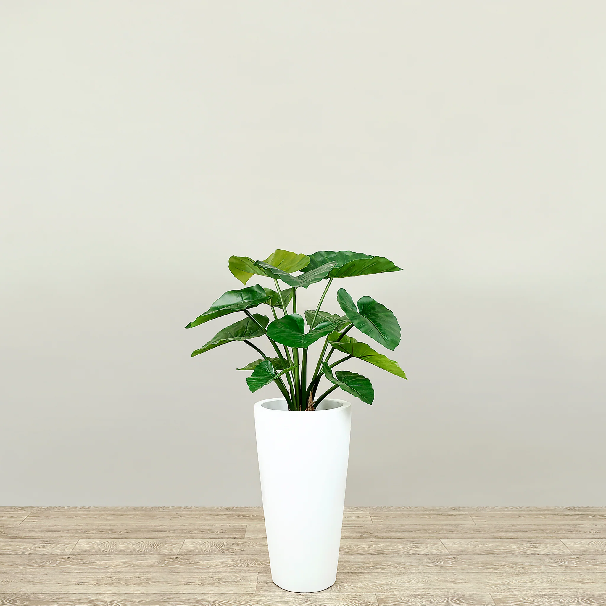 Artificial Alocasia Tree 60cm