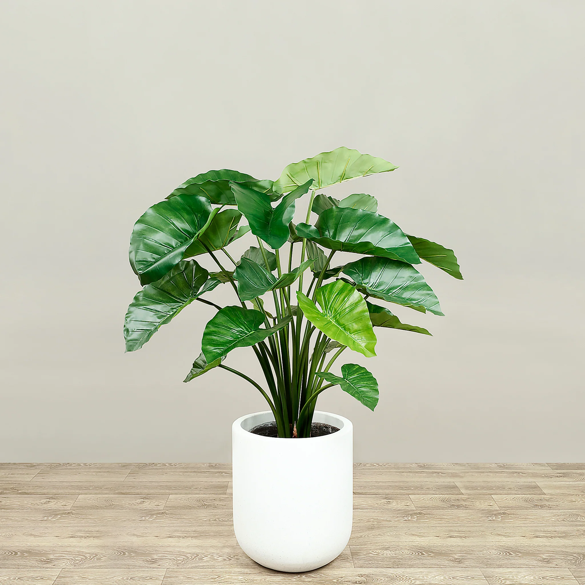 Artificial Alocasia Tree 100cm