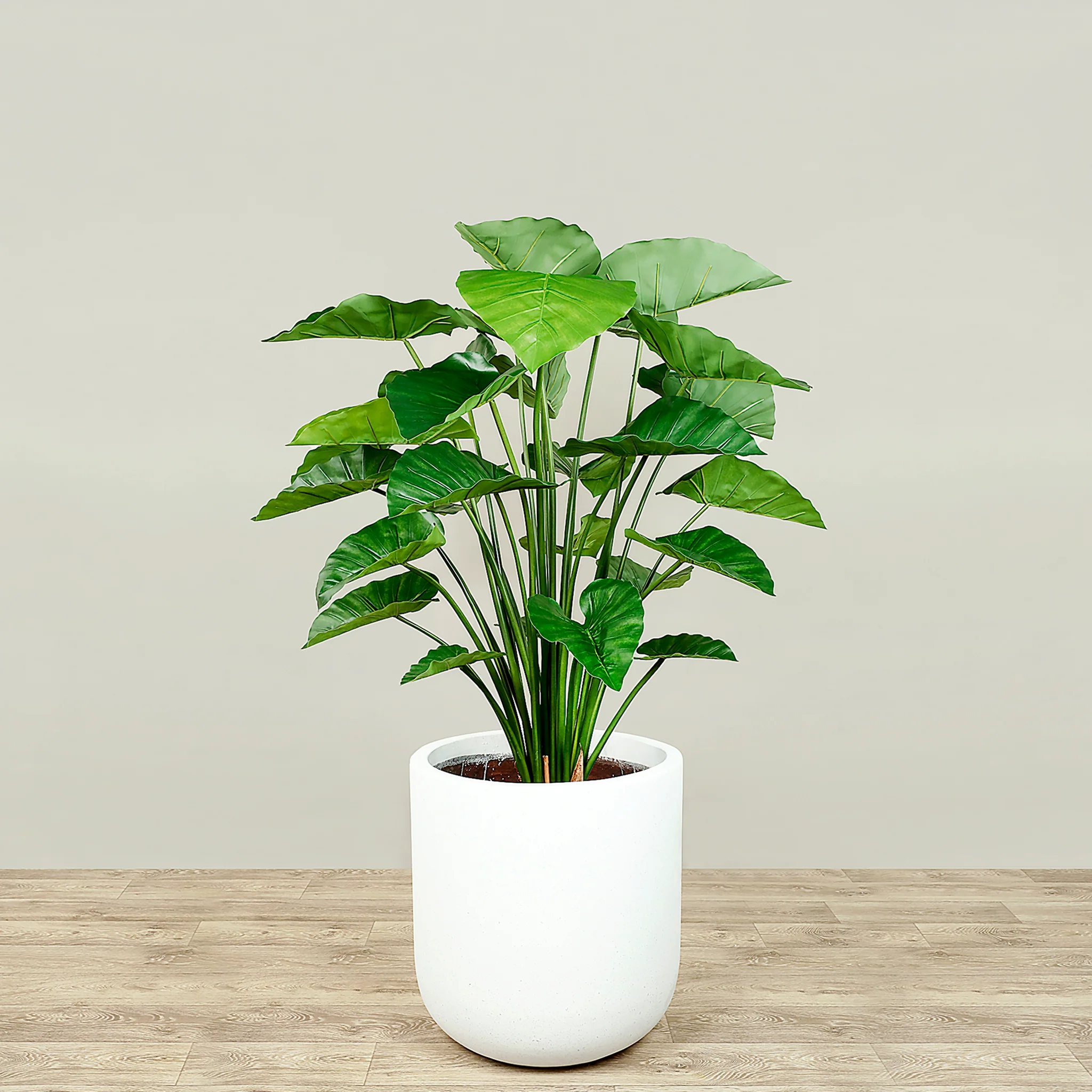 Artificial Alocasia Tree 120cm