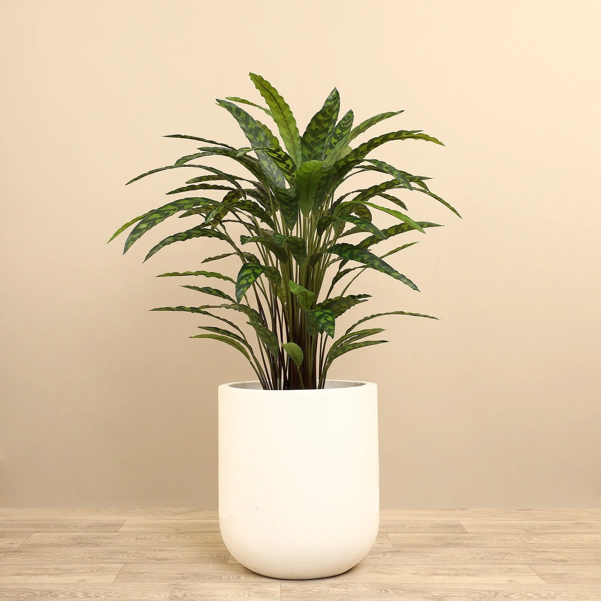 Artificial Calathea Tree 90cm