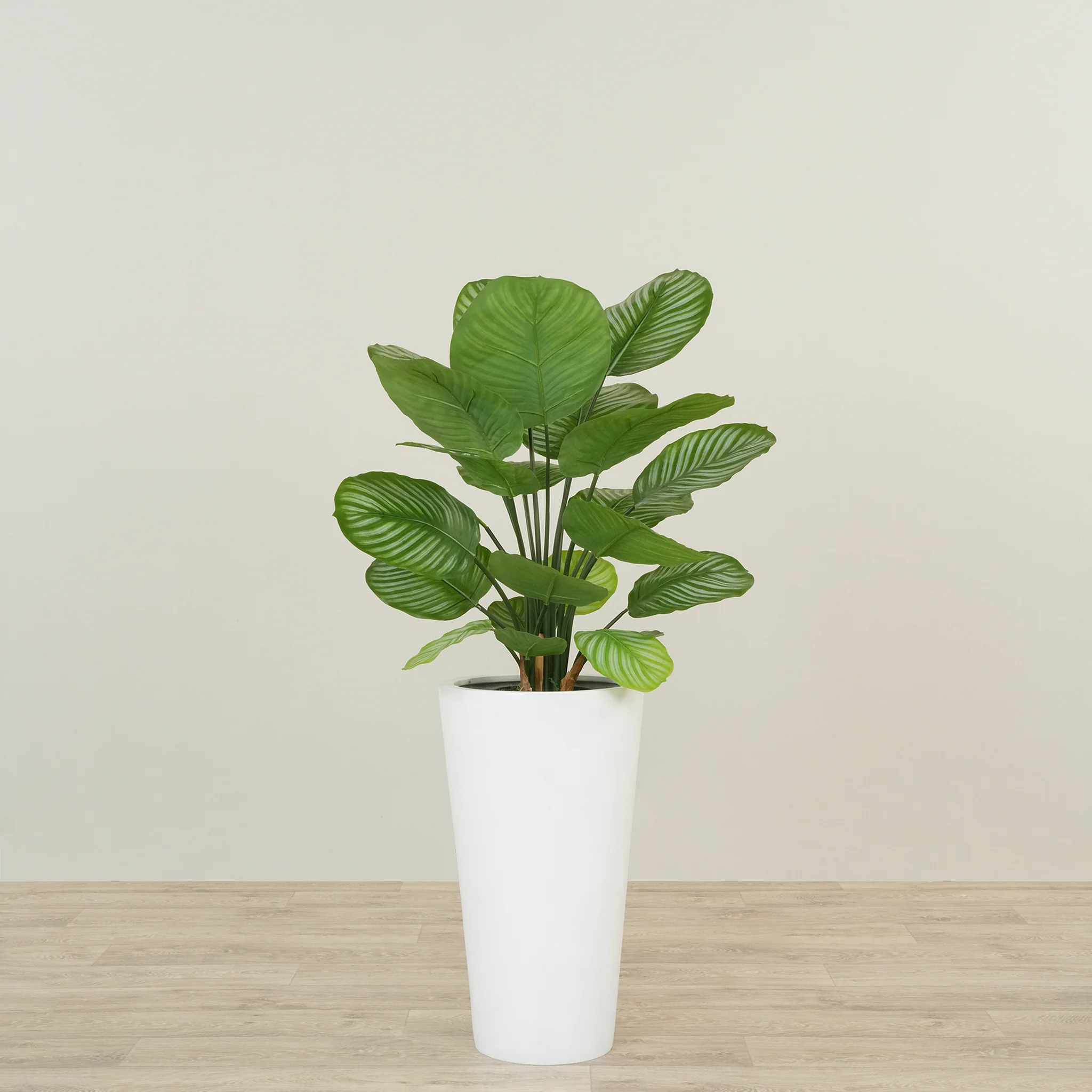 Artificial Calathea Tree 70cm