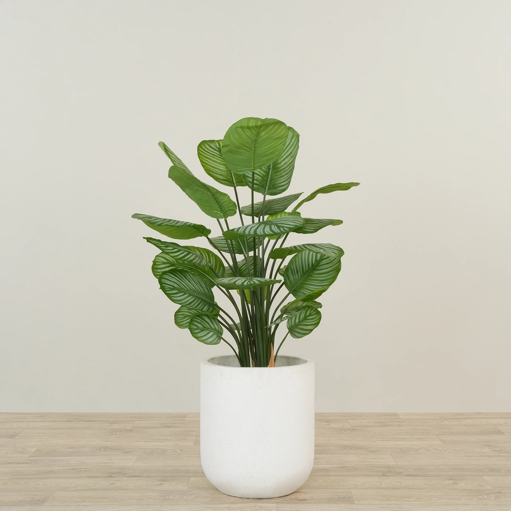 Artificial Calathea Tree 90cm