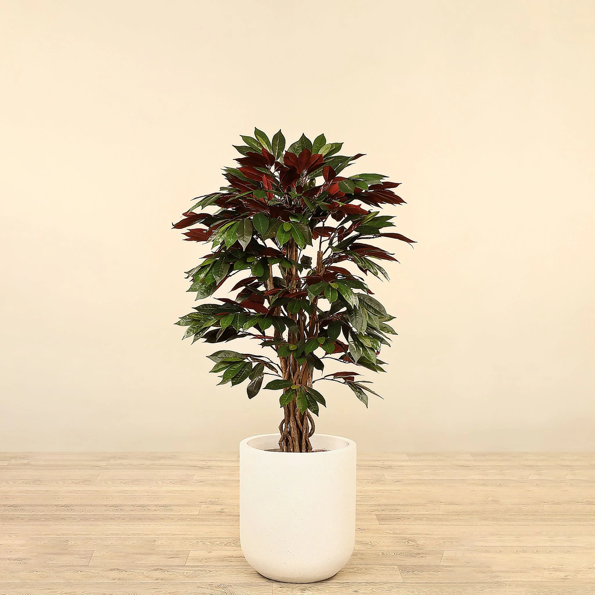 Artificial Capensia Fig Tree 120cm
