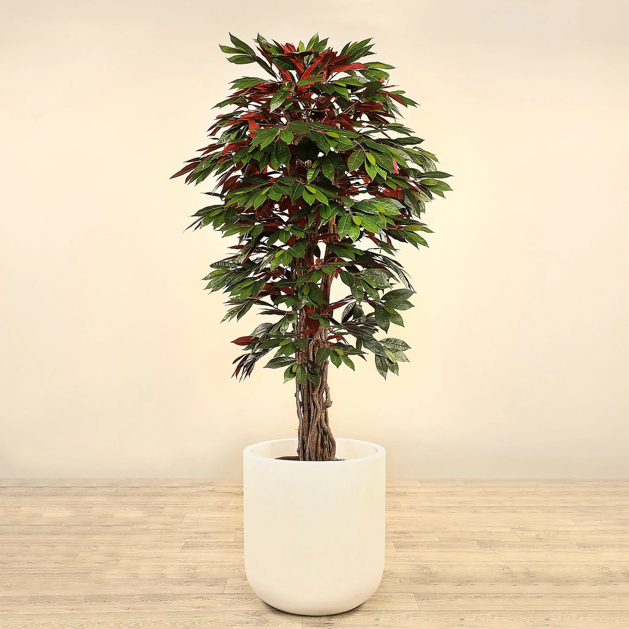 Artificial Capensia fig Tree 180cm