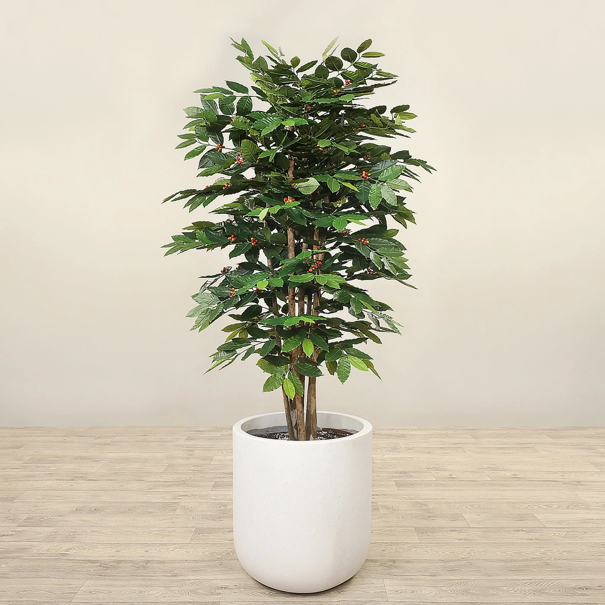 Artificial Coffee Tree 180cm