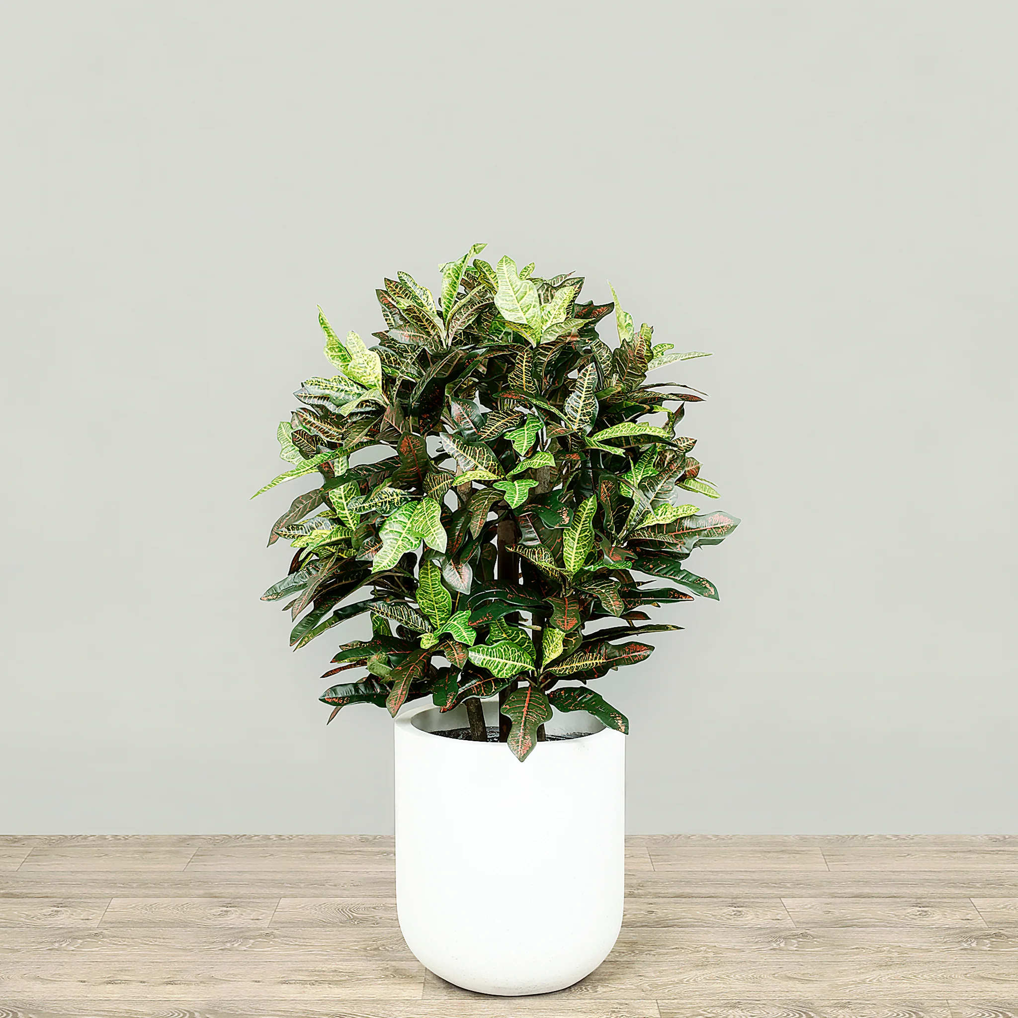 Artificial Croton Plant 90cm