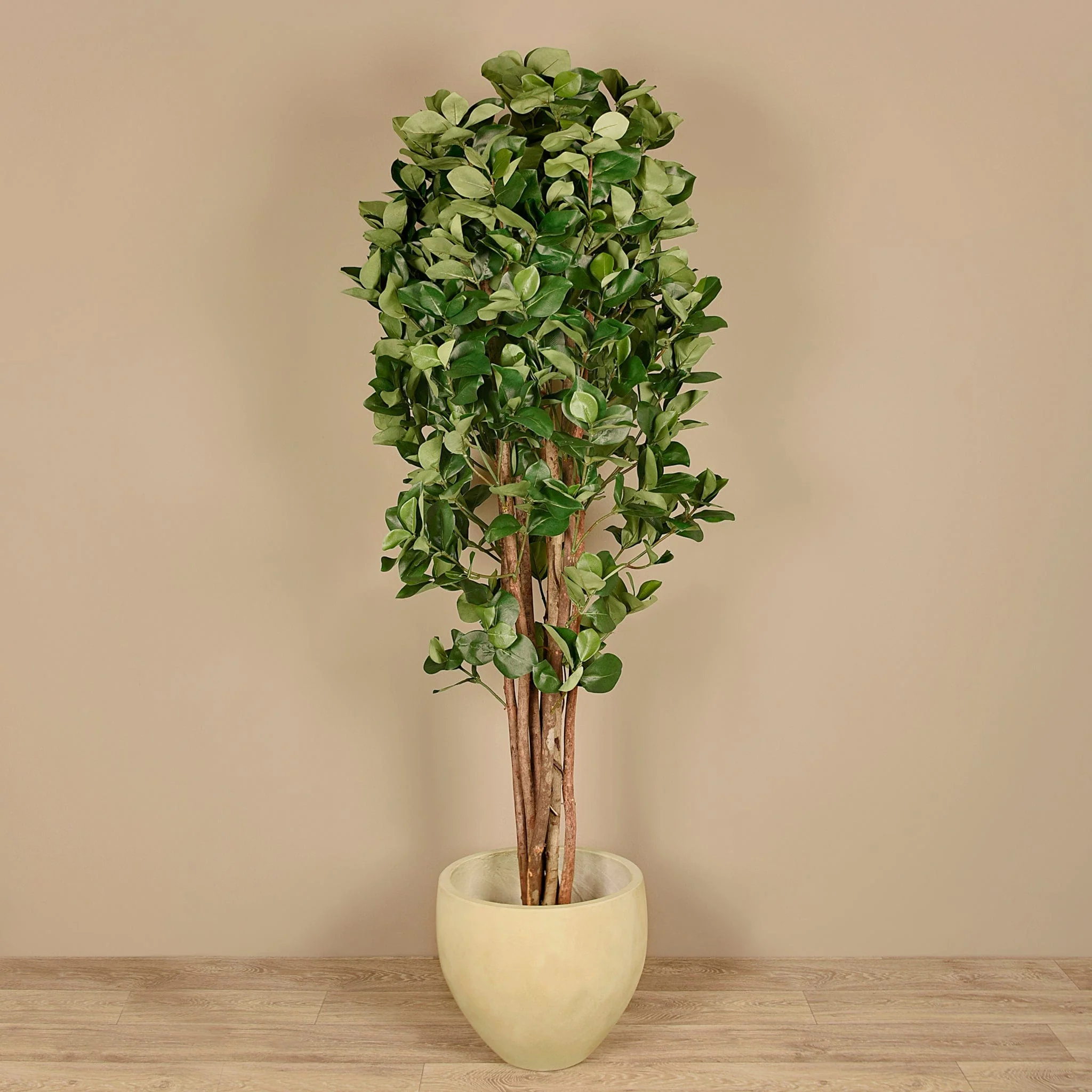 Artificial Clusia Tree 180cm