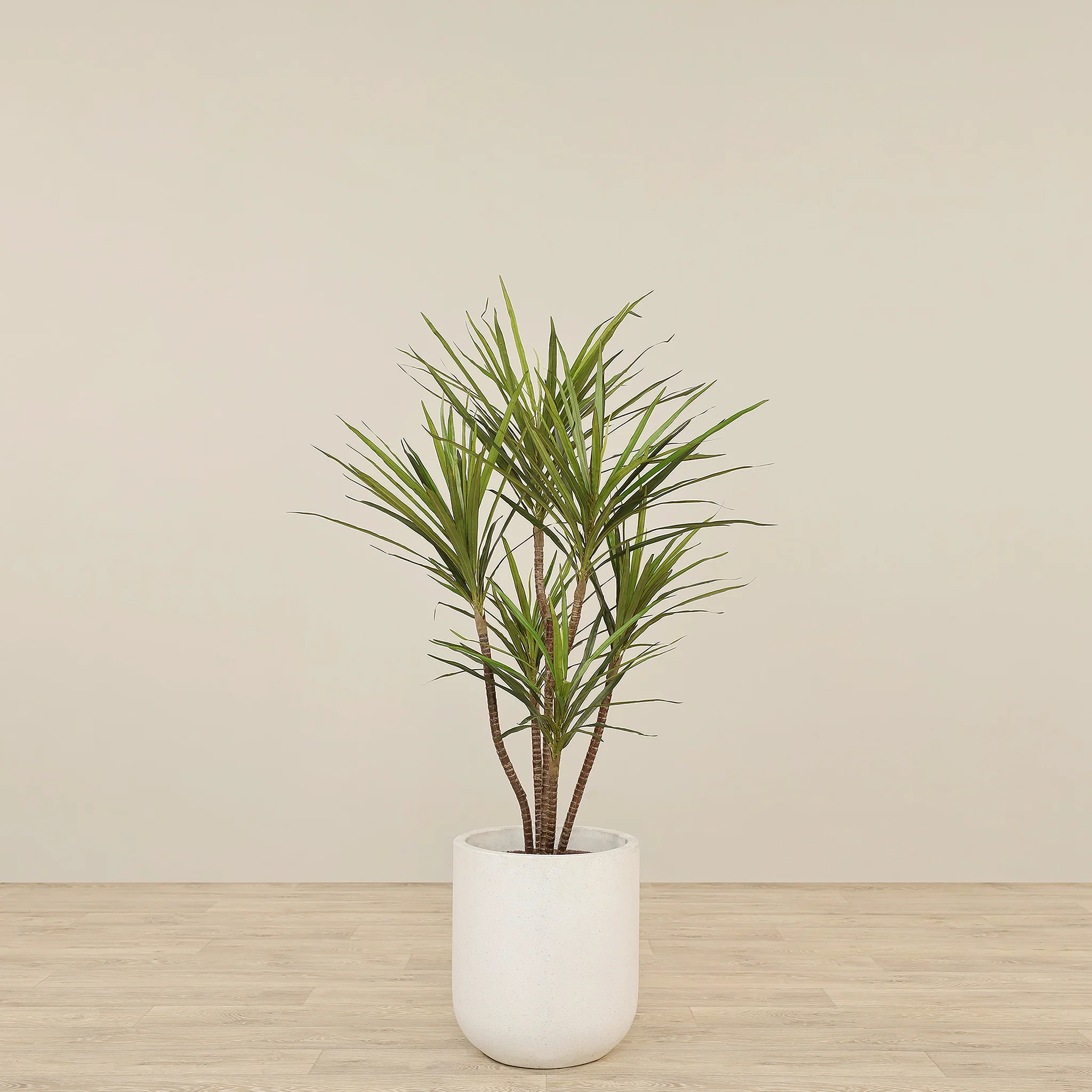 Artificial Draecena Tree 130cm