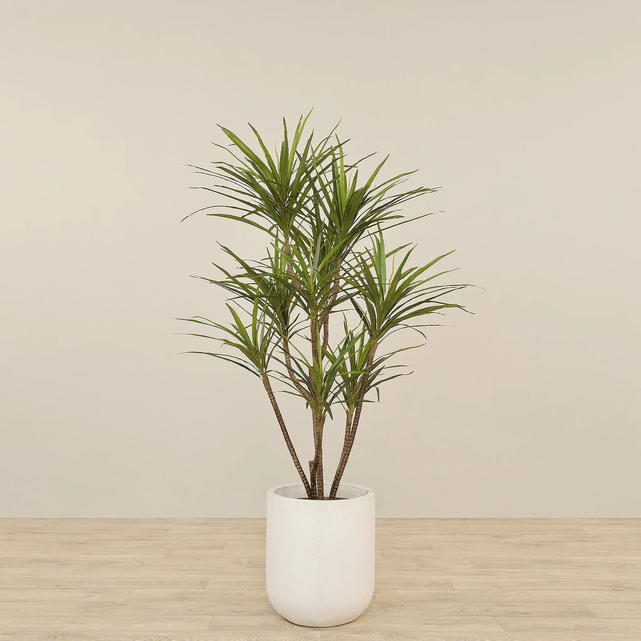 Artificial Draecena Tree 150cm