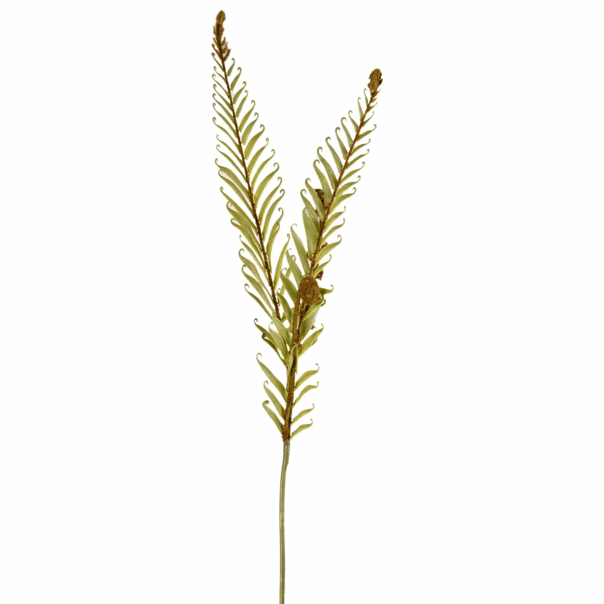Artificial Fern