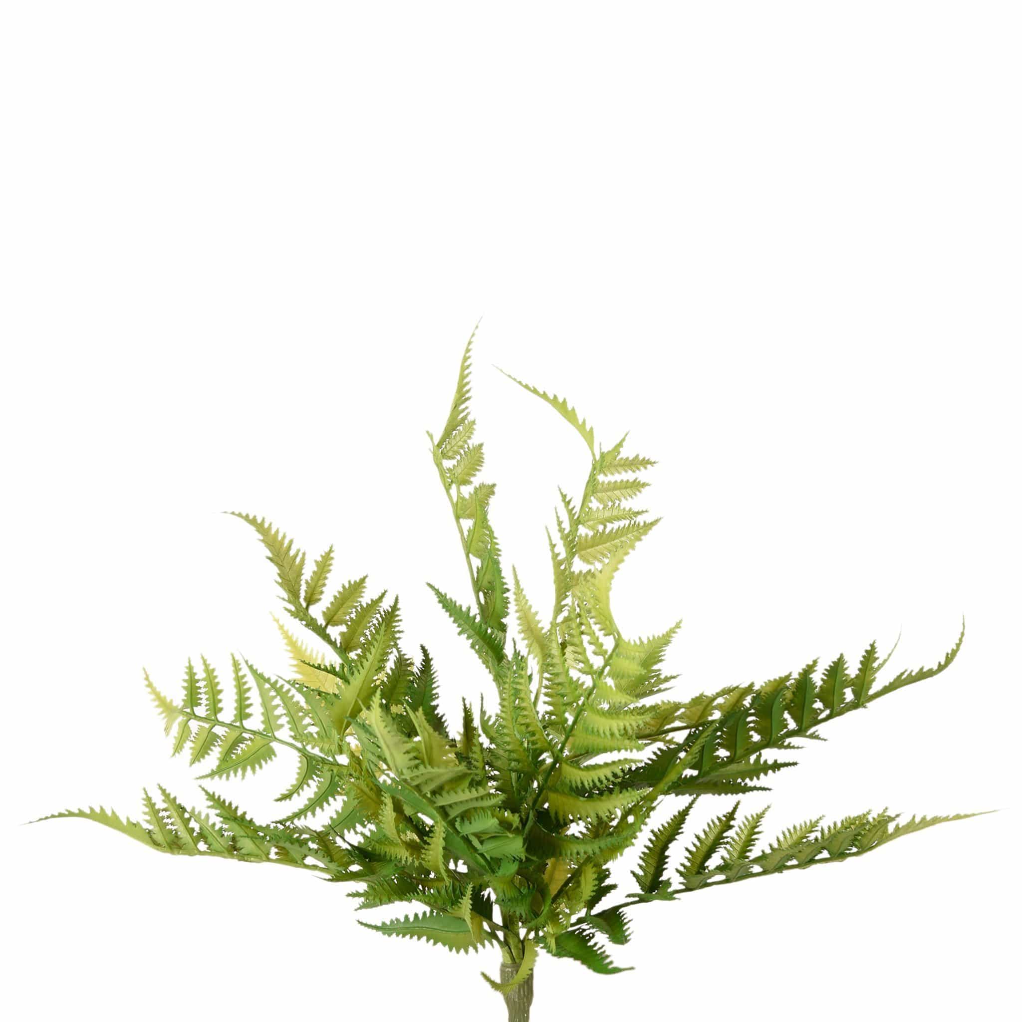 Artificial Fern