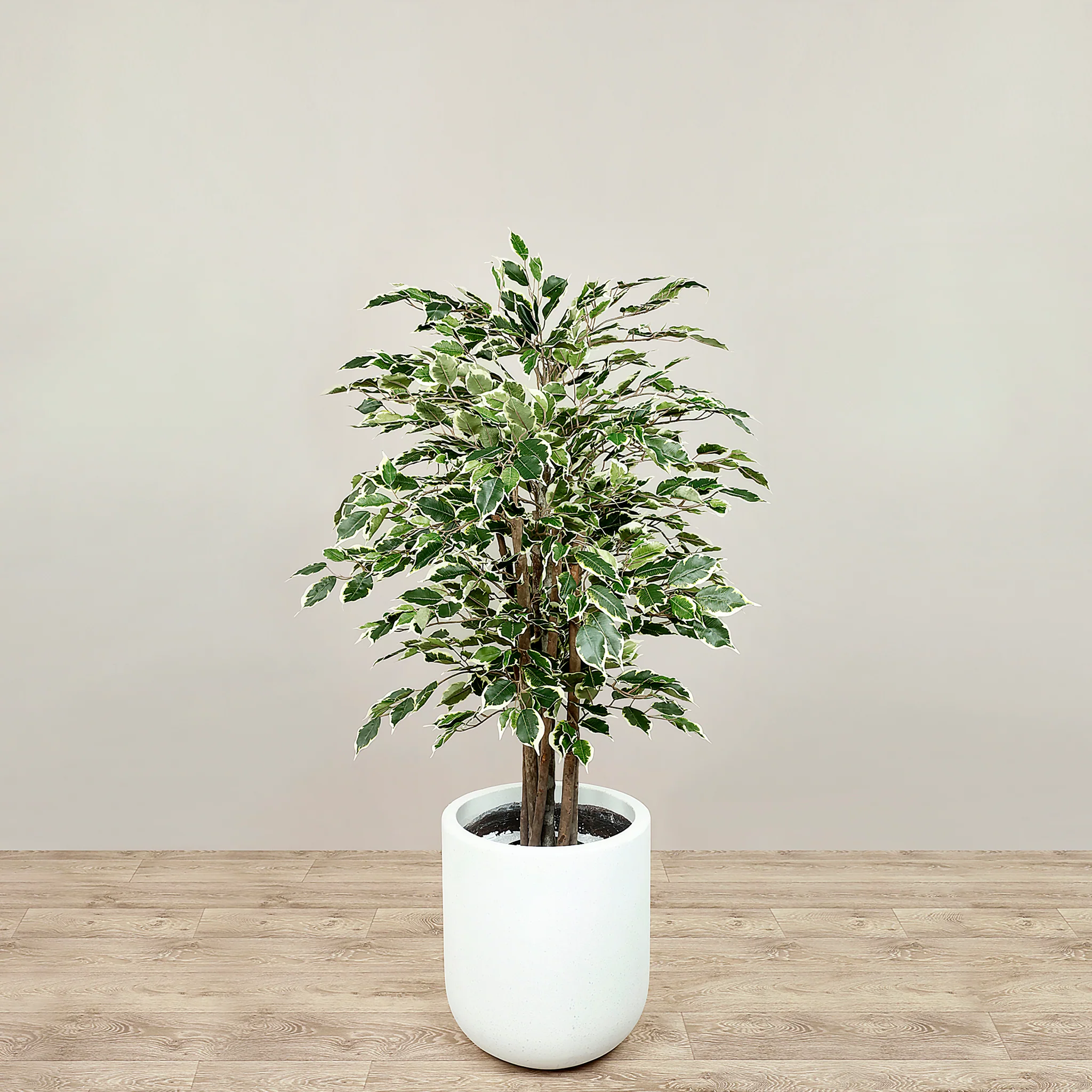 Artificial Ficus Deluxe Exotica Tree 120cm