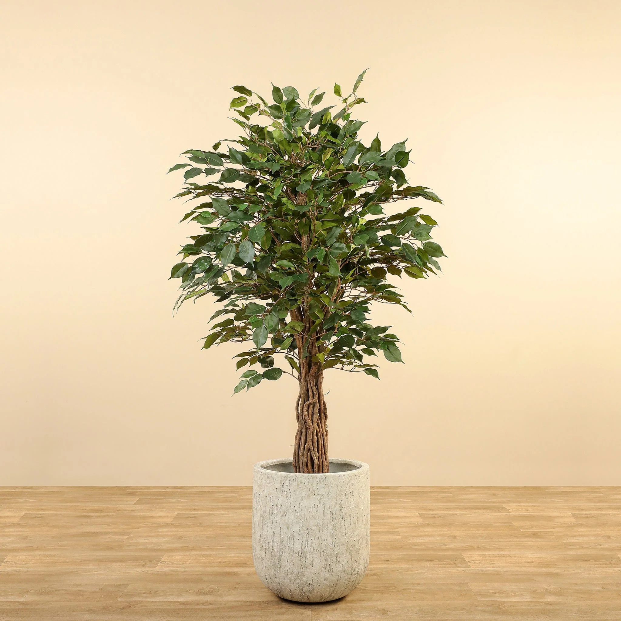 Artificial Ficus Tree  180cm