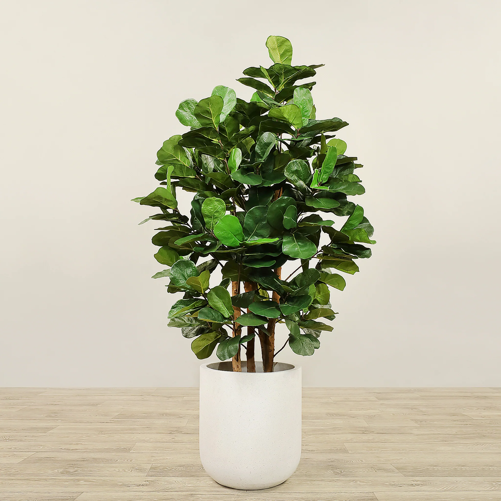 Artificial Fiddle Tree 150cm