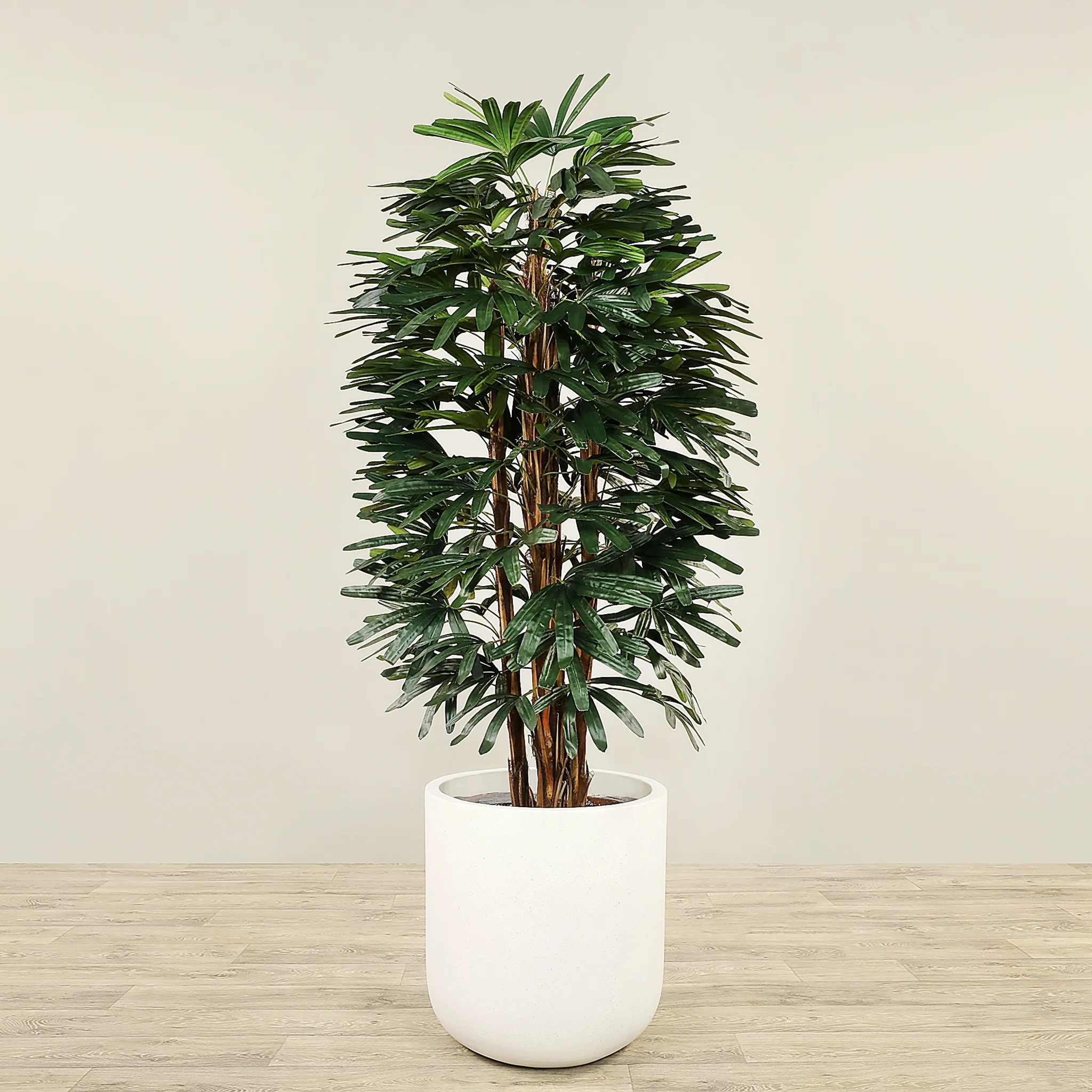 Artificial Finger Palm Tree 180cm