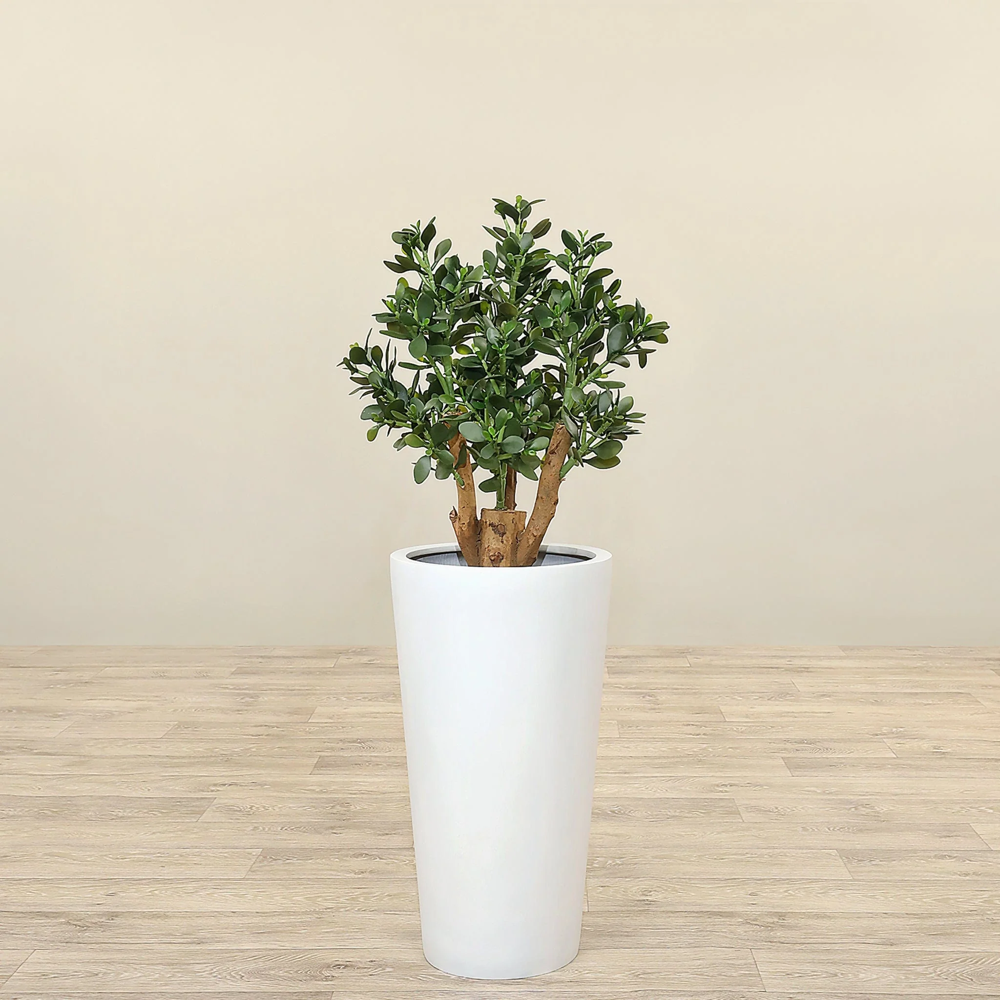Artificial Jade Plant 70cm