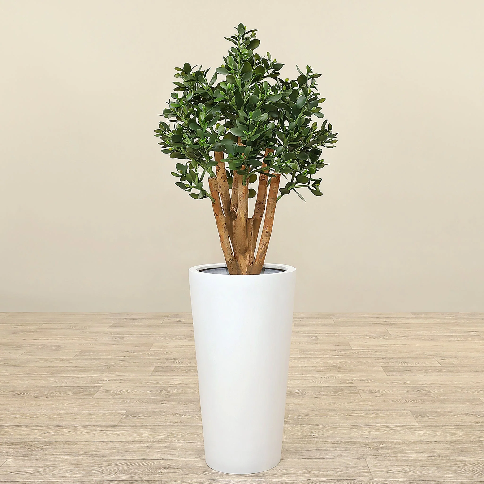 Artificial Jade Plant 100cm