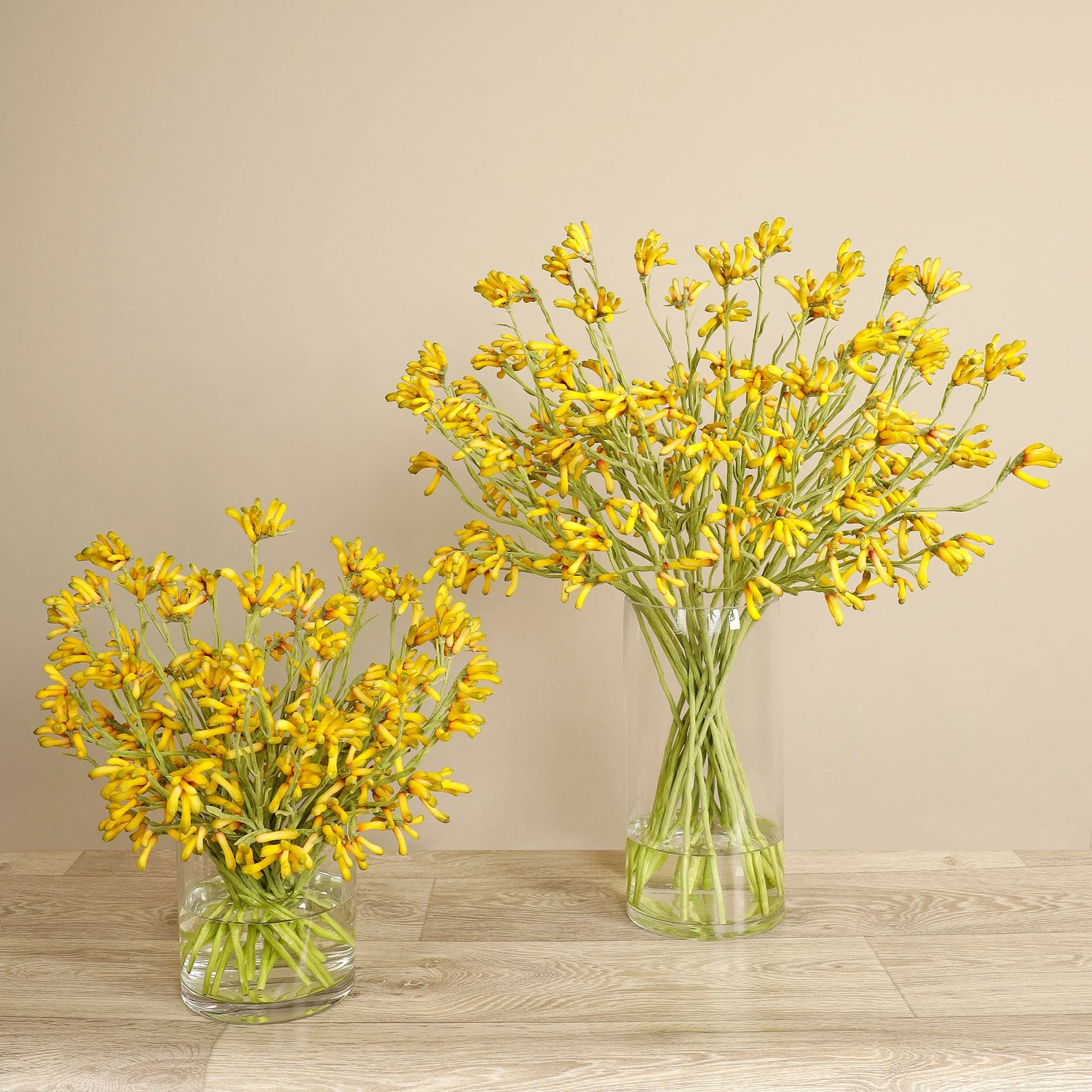 Artificial Kangaroo Paw Arrangement