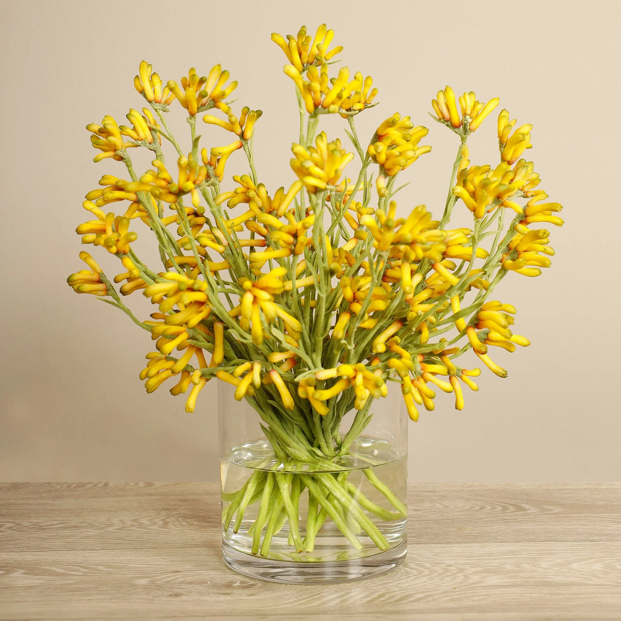 Artificial Kangaroo Paw Arrangement - Image 2