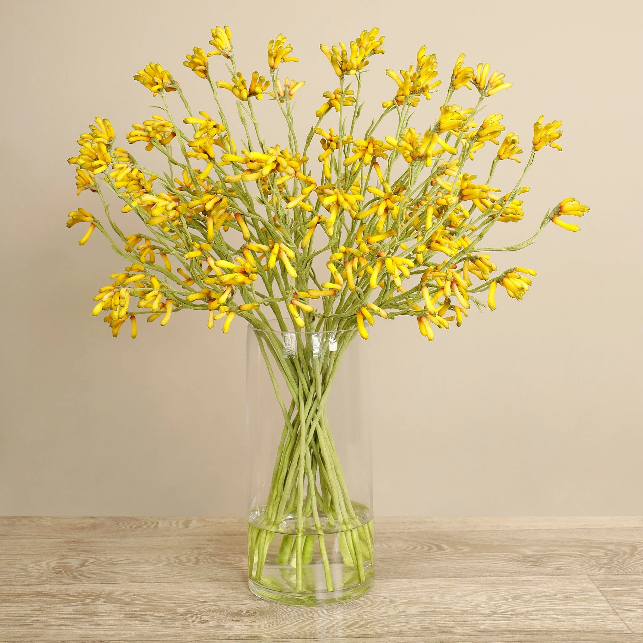 Artificial Kangaroo Paw Arrangement - Image 3