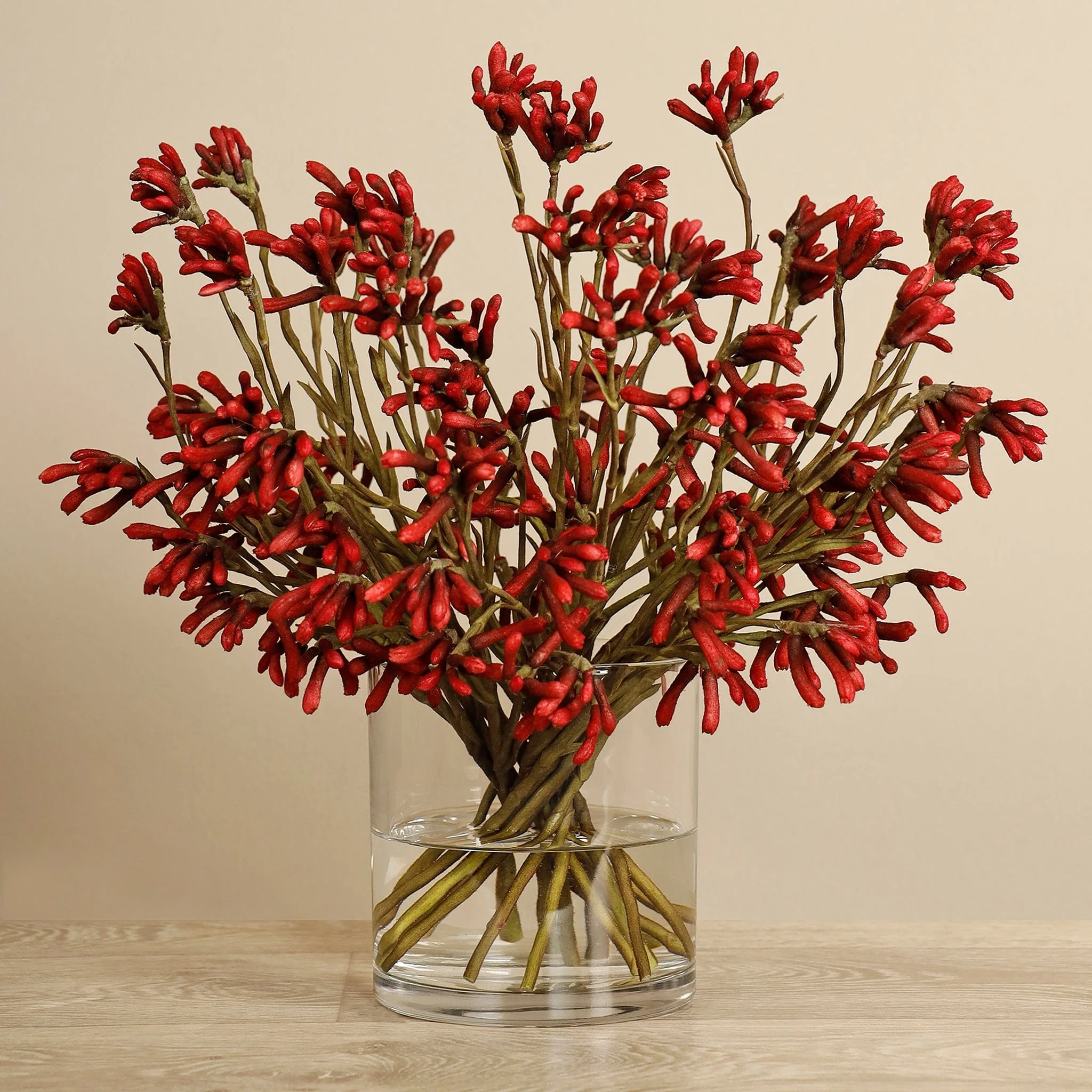 Artificial Kangaroo Paw Arrangement - Image 4