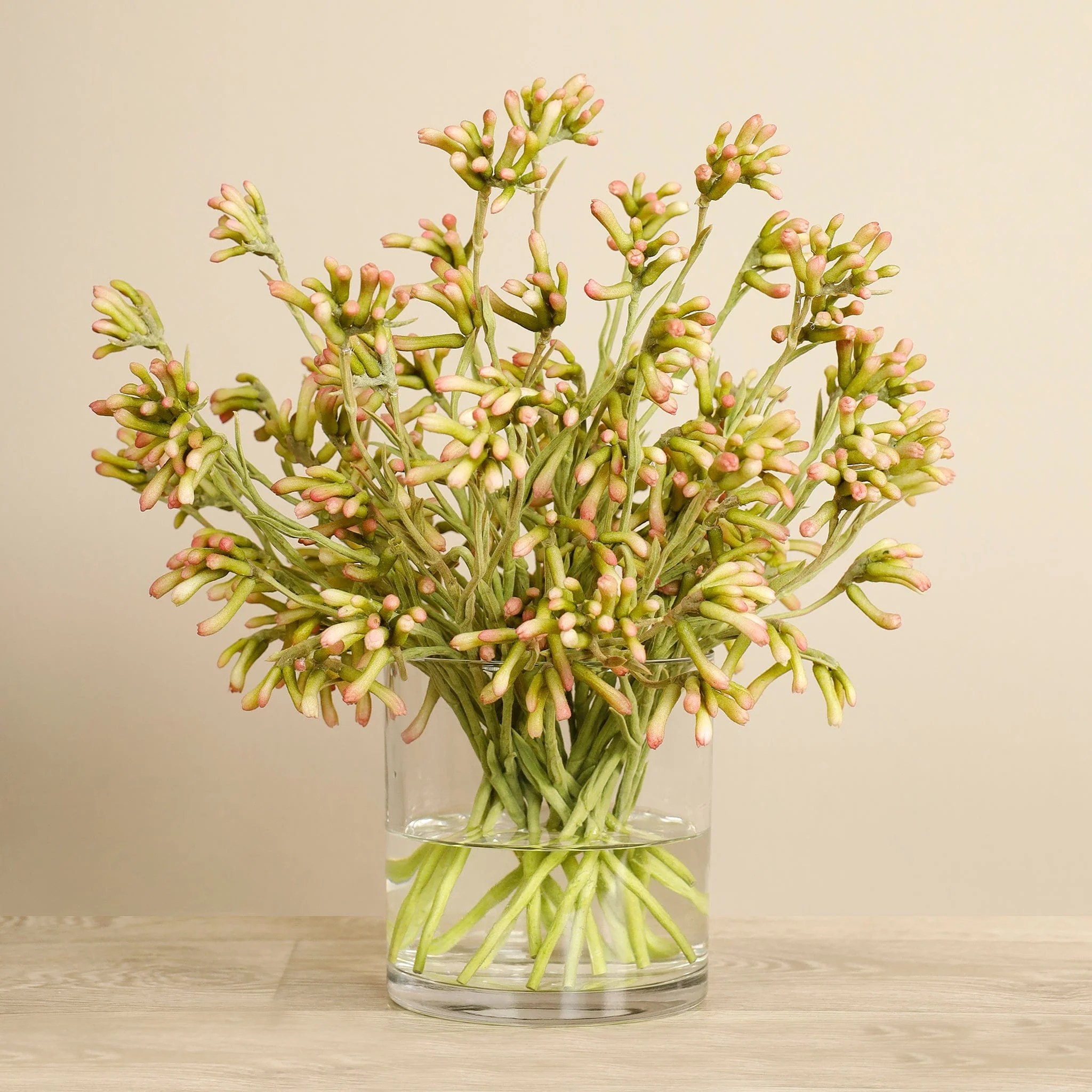Artificial Kangaroo Paw Arrangement - Image 7