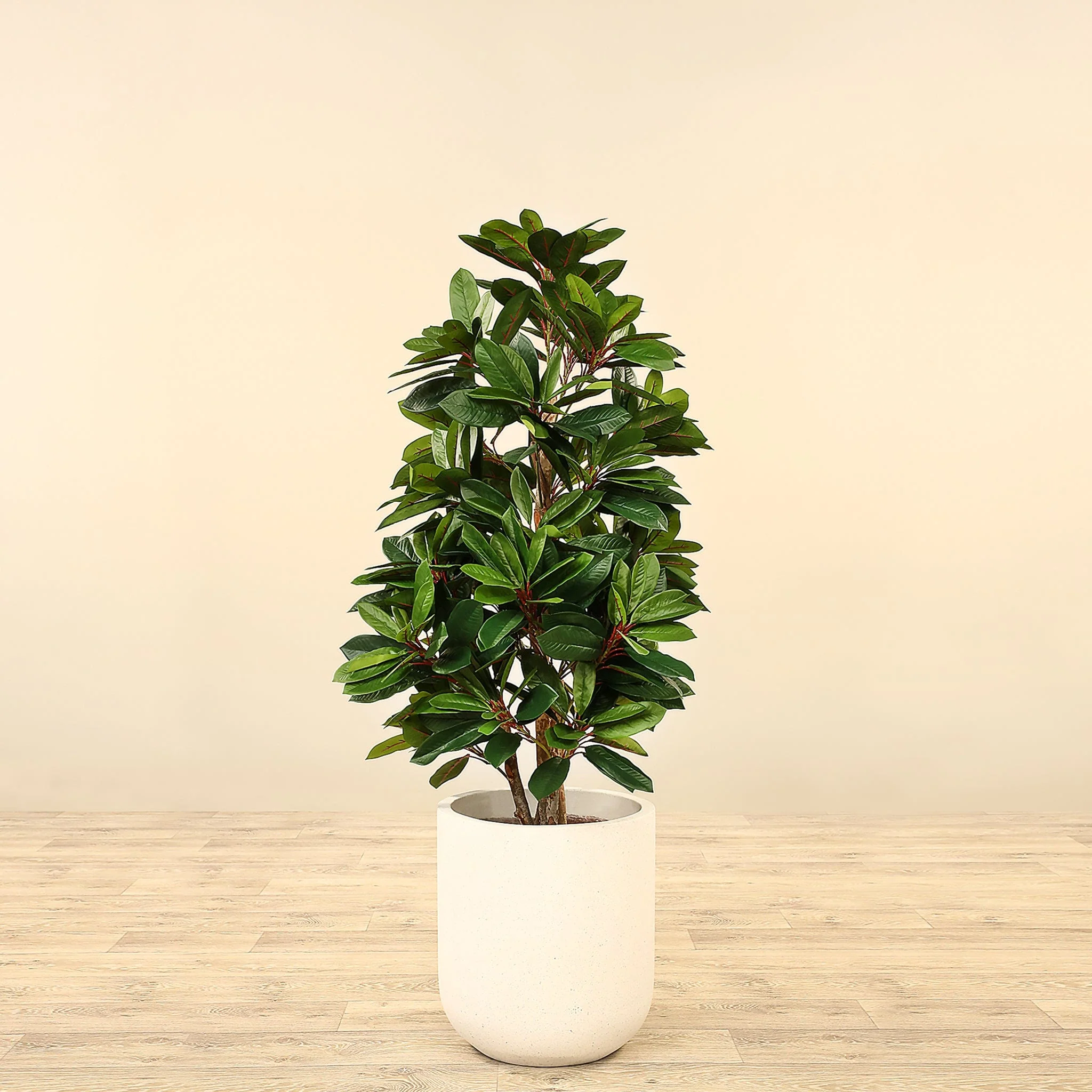 Artificial Lady Schefflera Tree 120cm