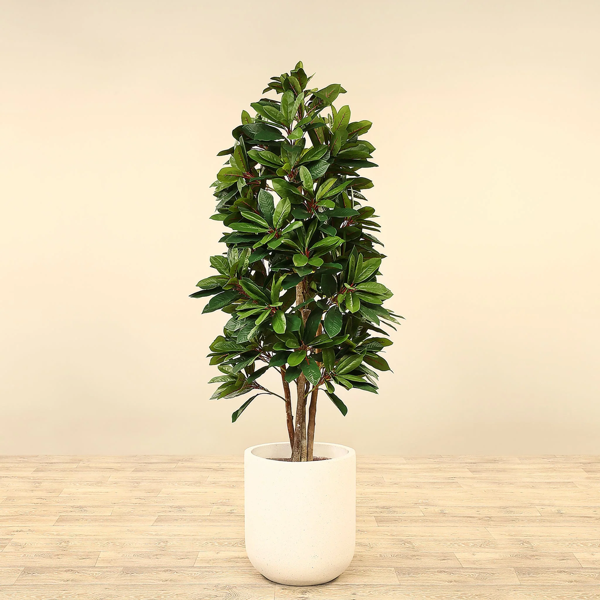 Artificial Lady Schefflera Tree 150cm