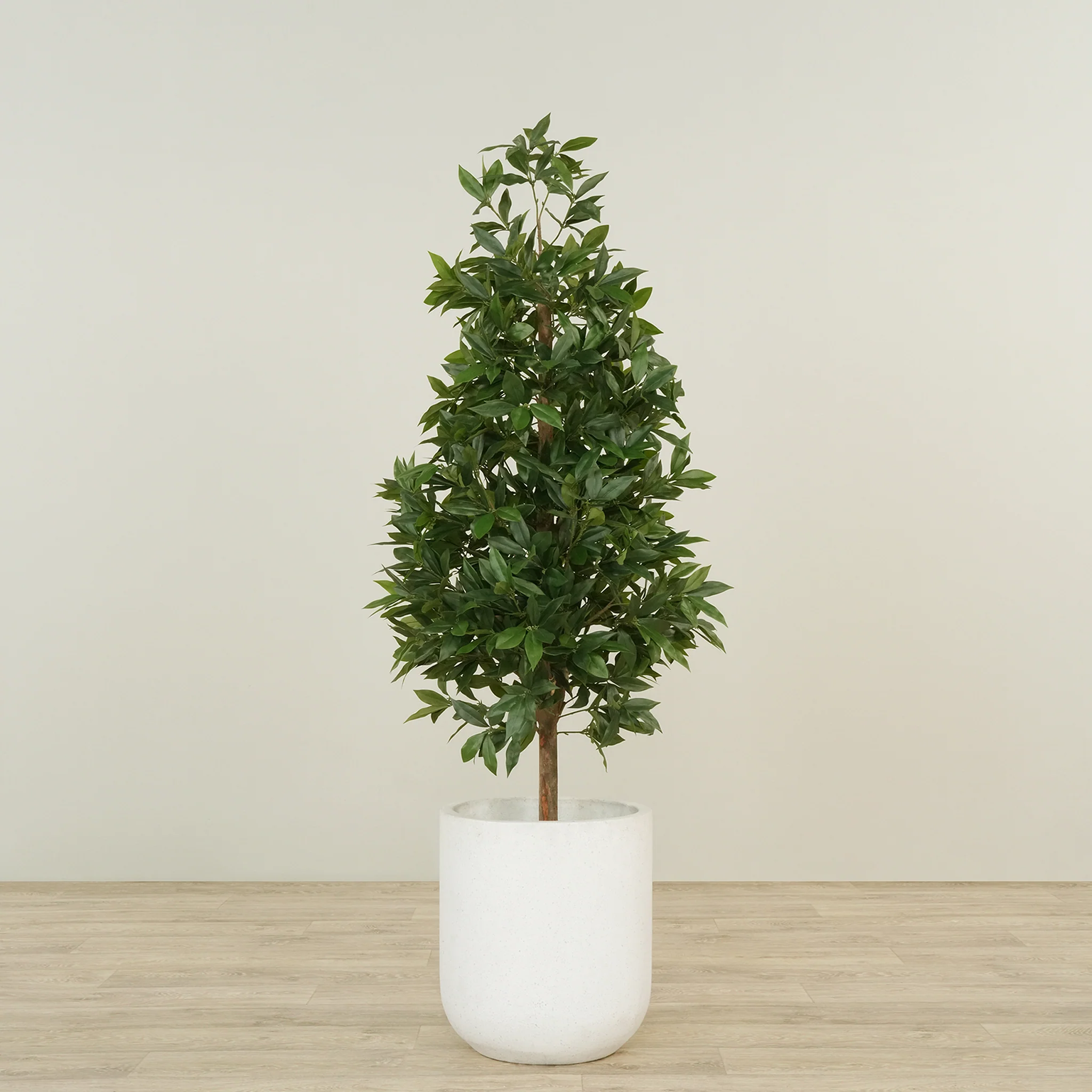 Artificial Laurel Tree 150cm