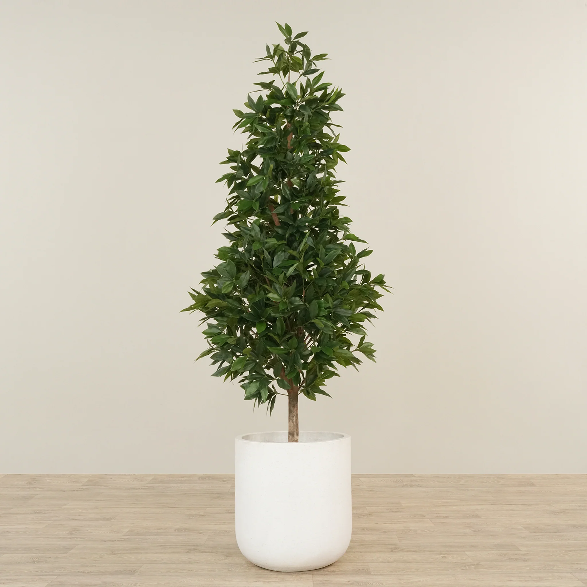 Artificial Laurel Tree 180cm