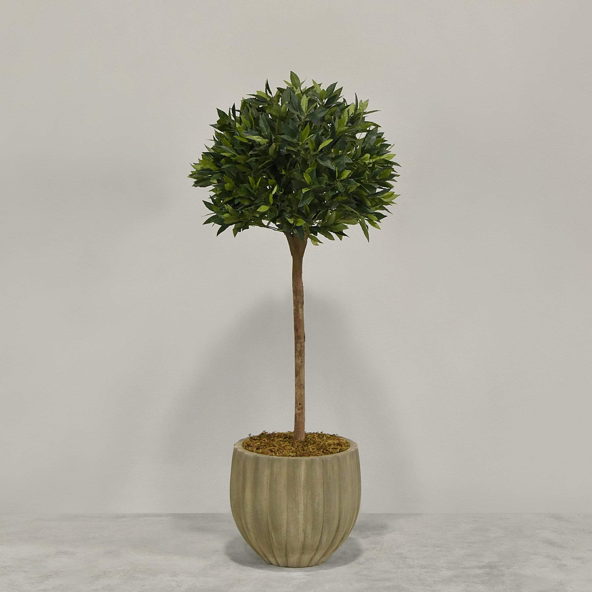 Artificial Laurel Tree with Pot - Image 2