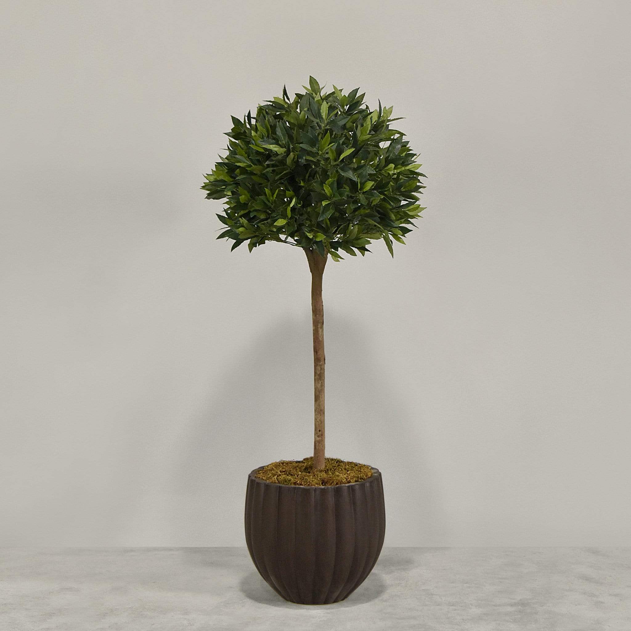 Artificial Laurel Tree with Pot - Image 5