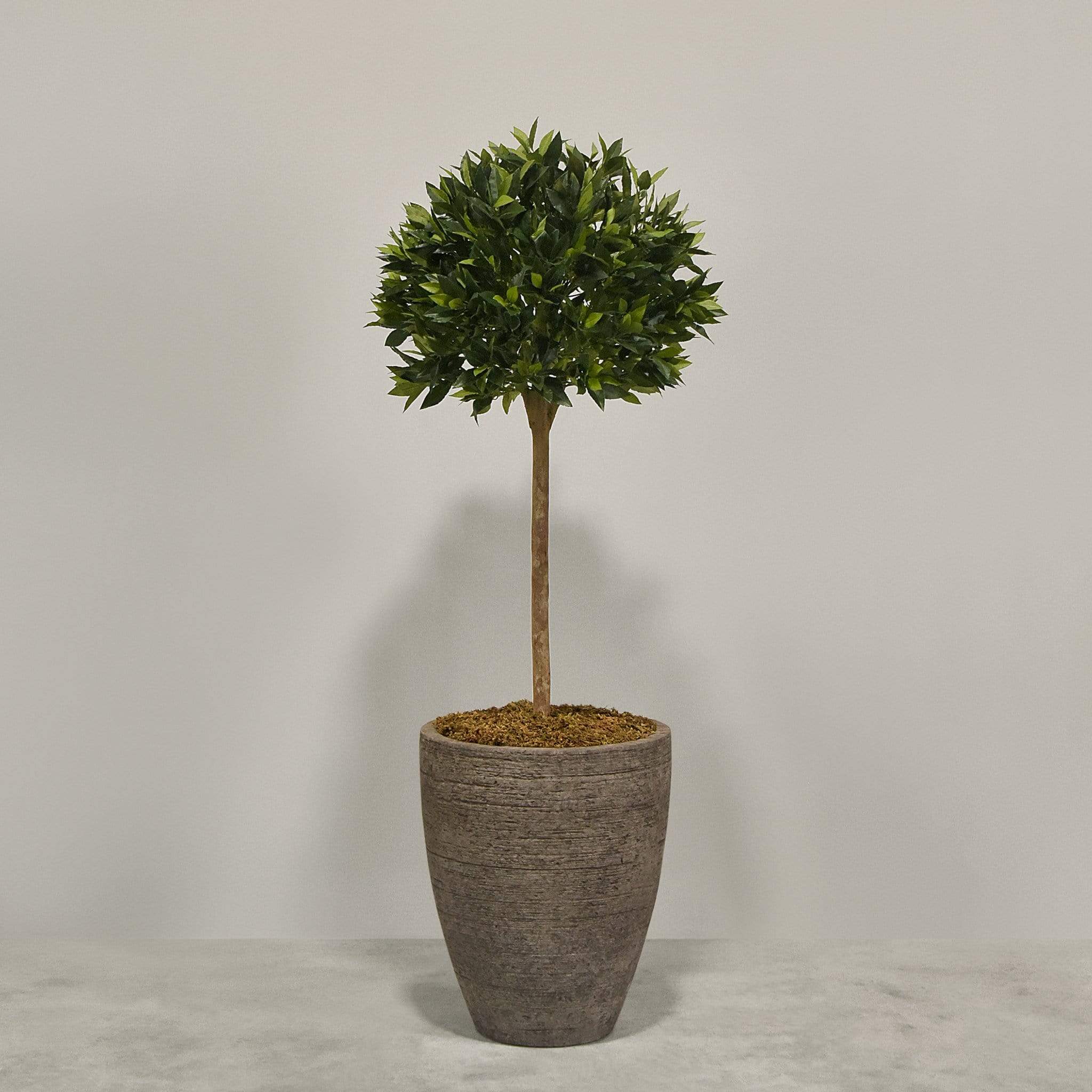 Artificial Laurel Tree with Pot - Image 2
