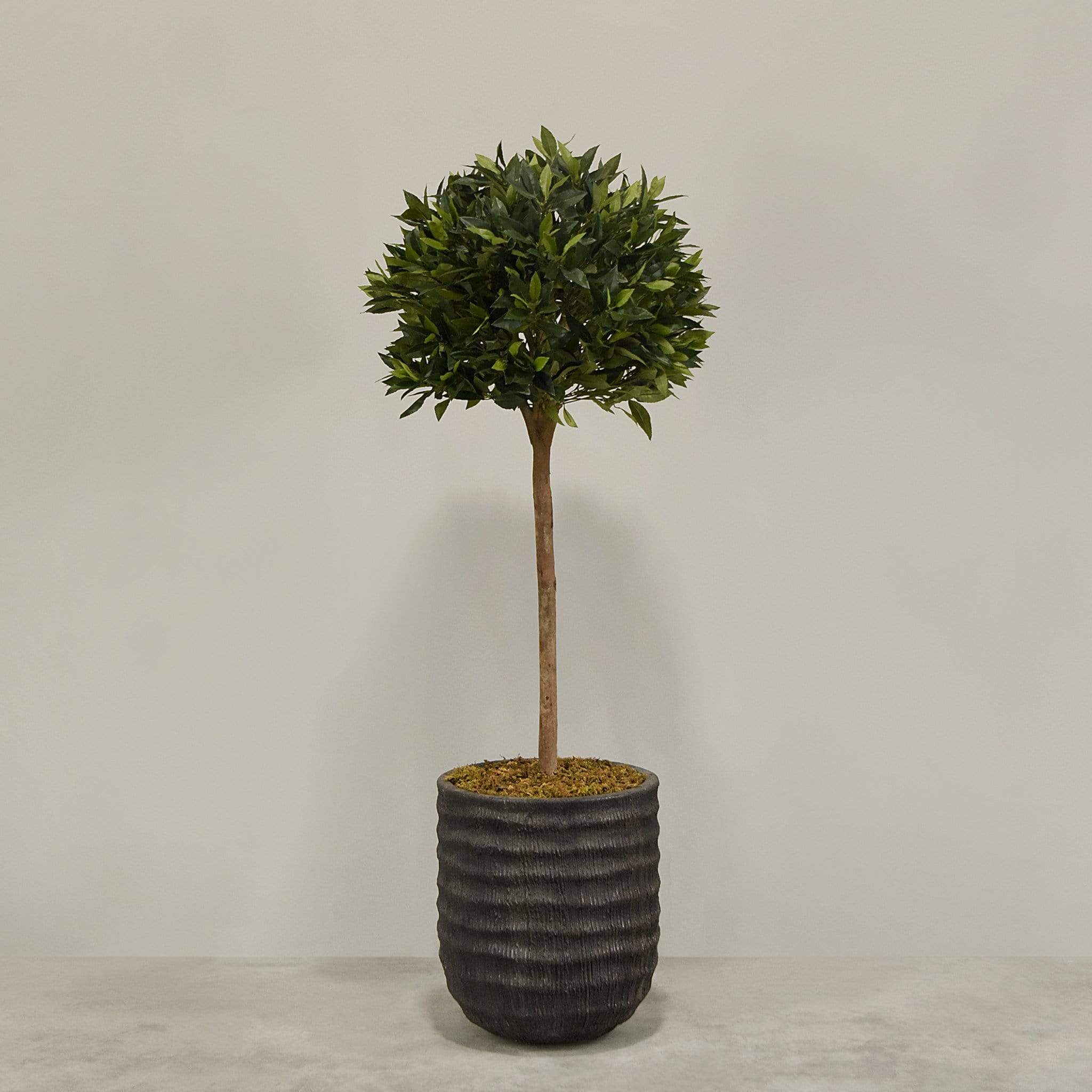 Artificial Laurel Tree with Pot - Image 2