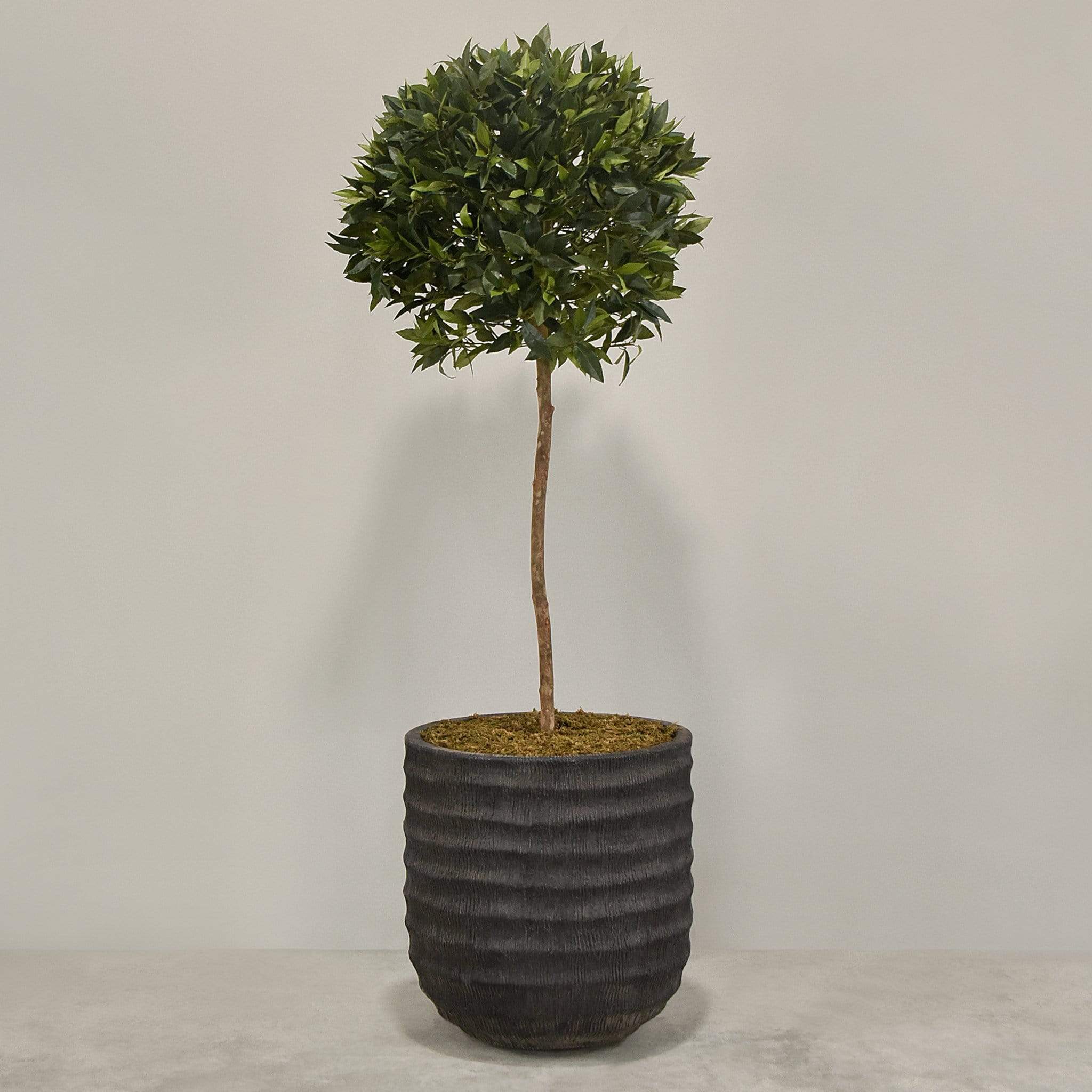 Artificial Laurel Tree with Pot - Image 3