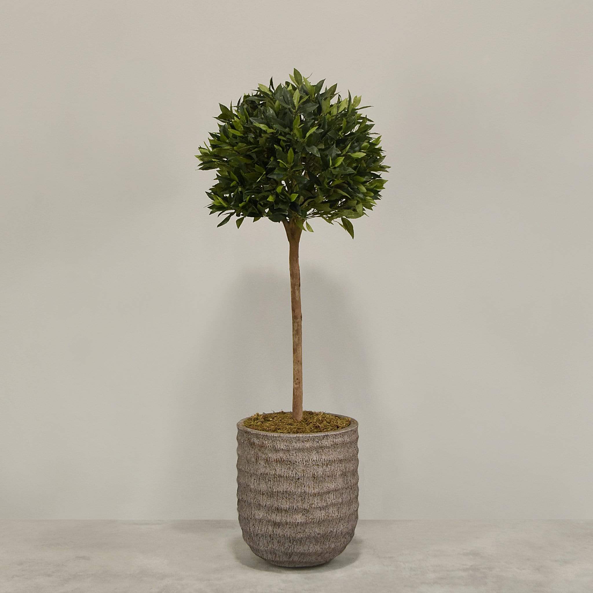 Artificial Laurel Tree with Pot - Image 5