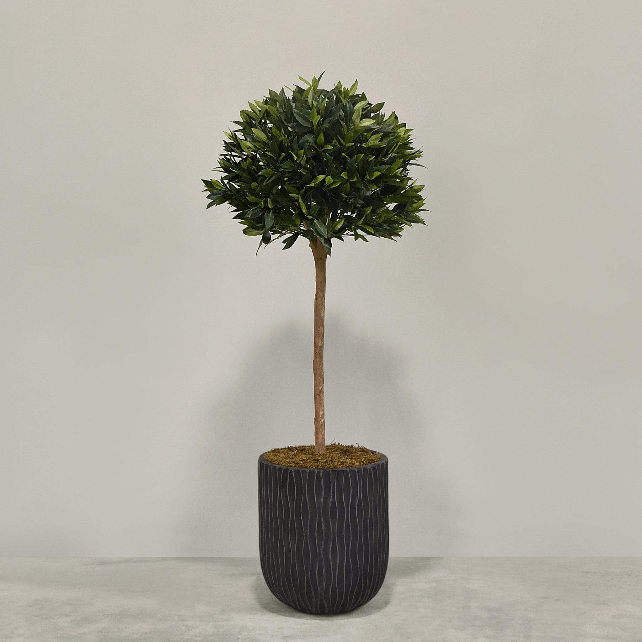 Artificial Laurel Tree with Pot - Image 8