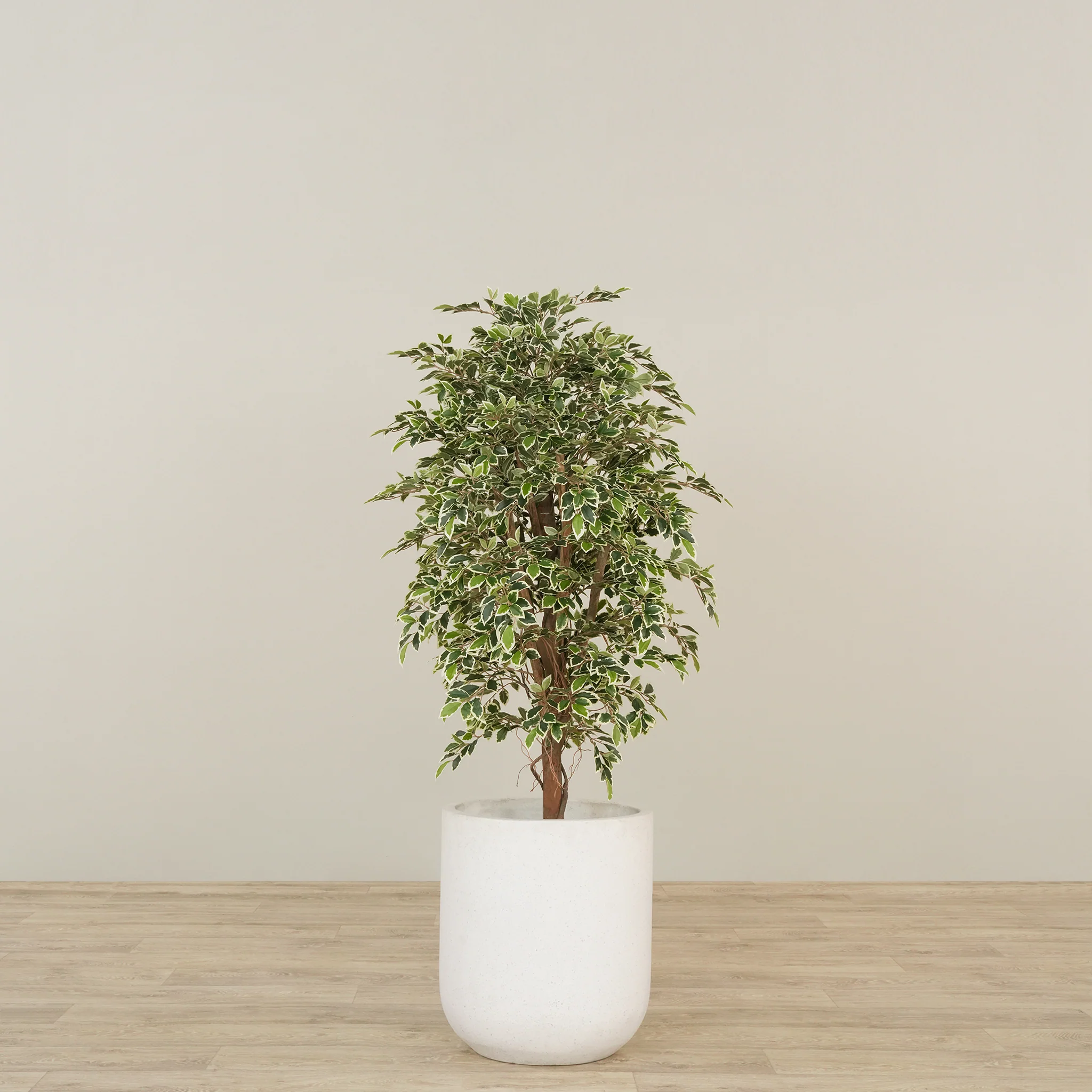 Artificial Mini Ficus Tree 150cm