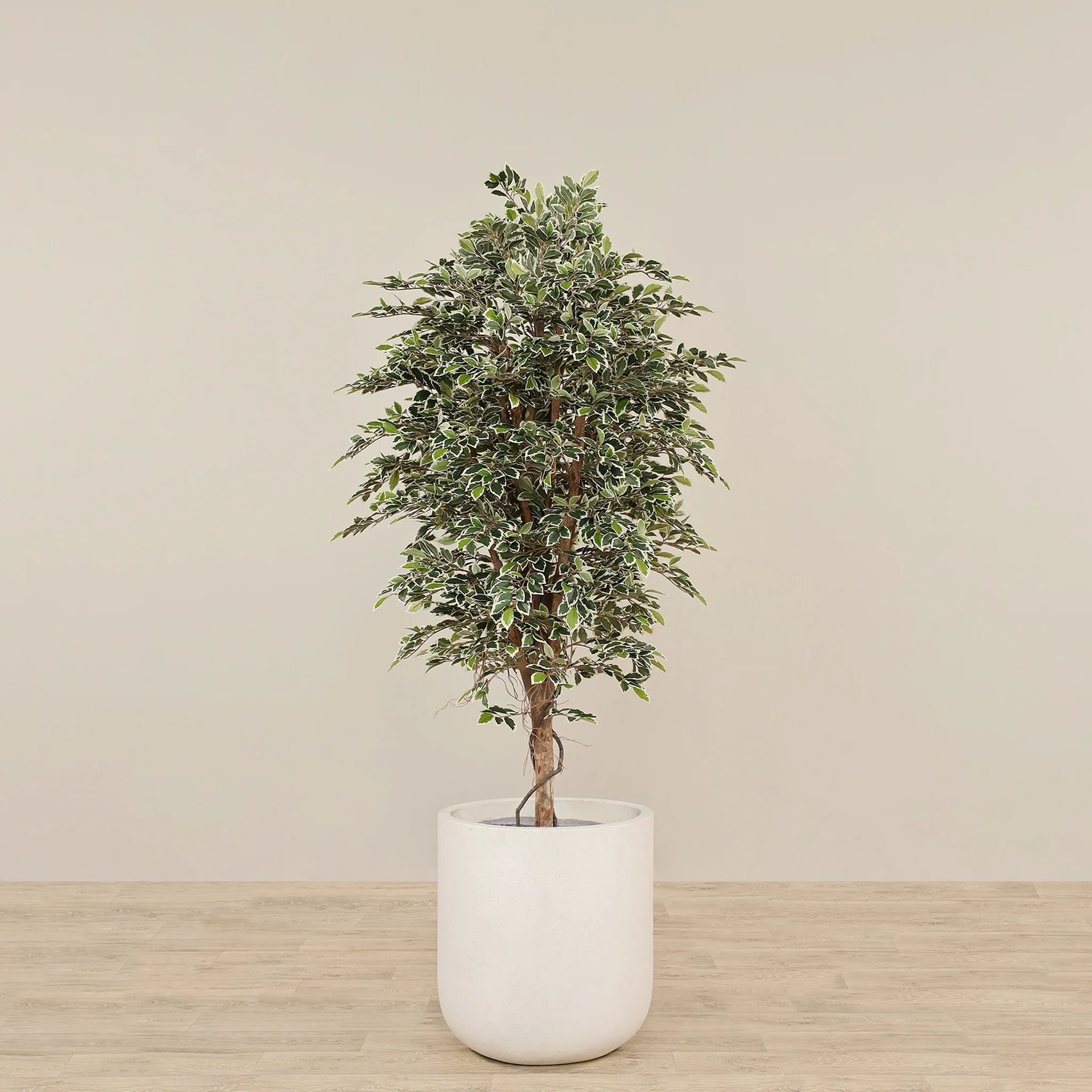 Artificial Mini Ficus Tree 180cm
