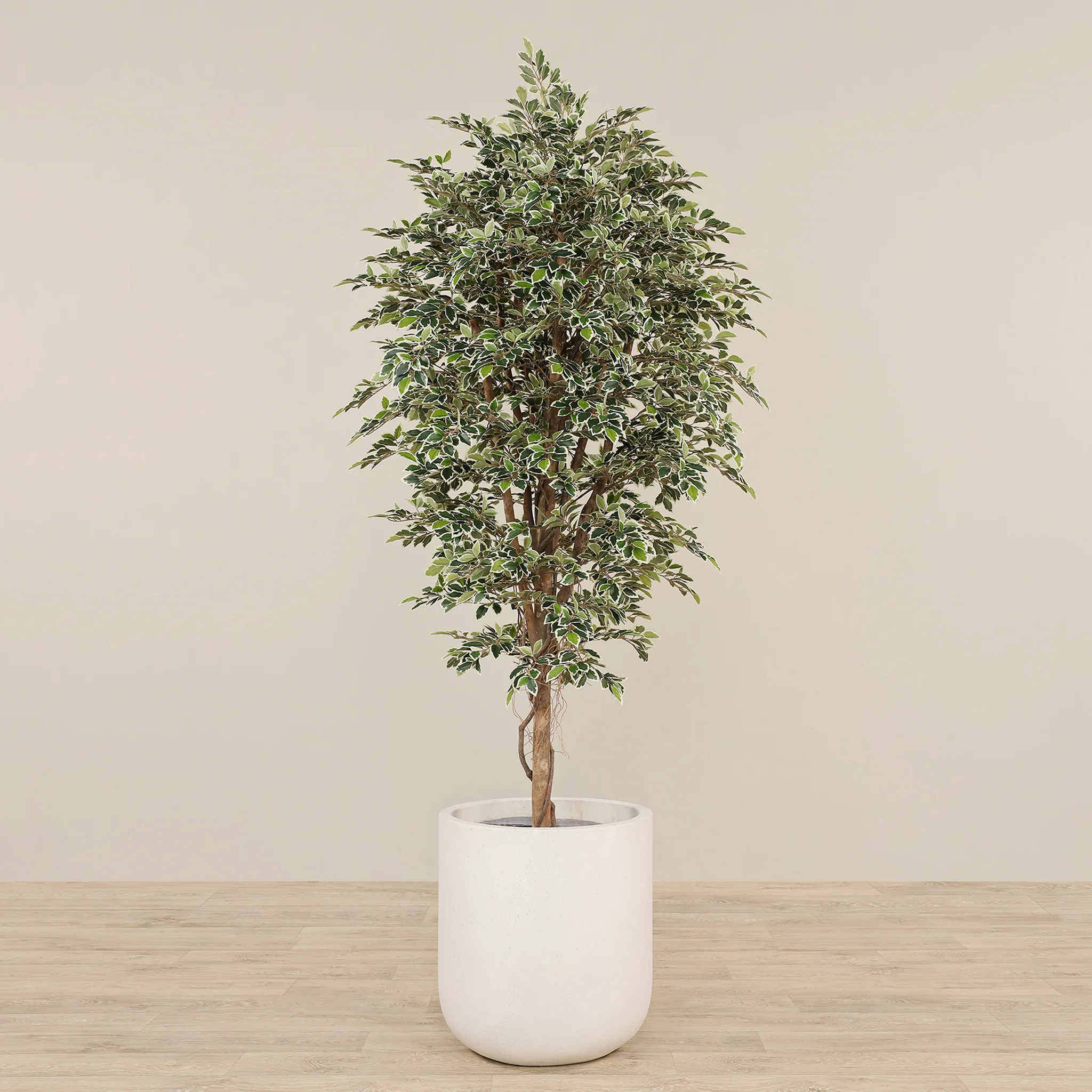 Artificial Mini Ficus Tree 210cm