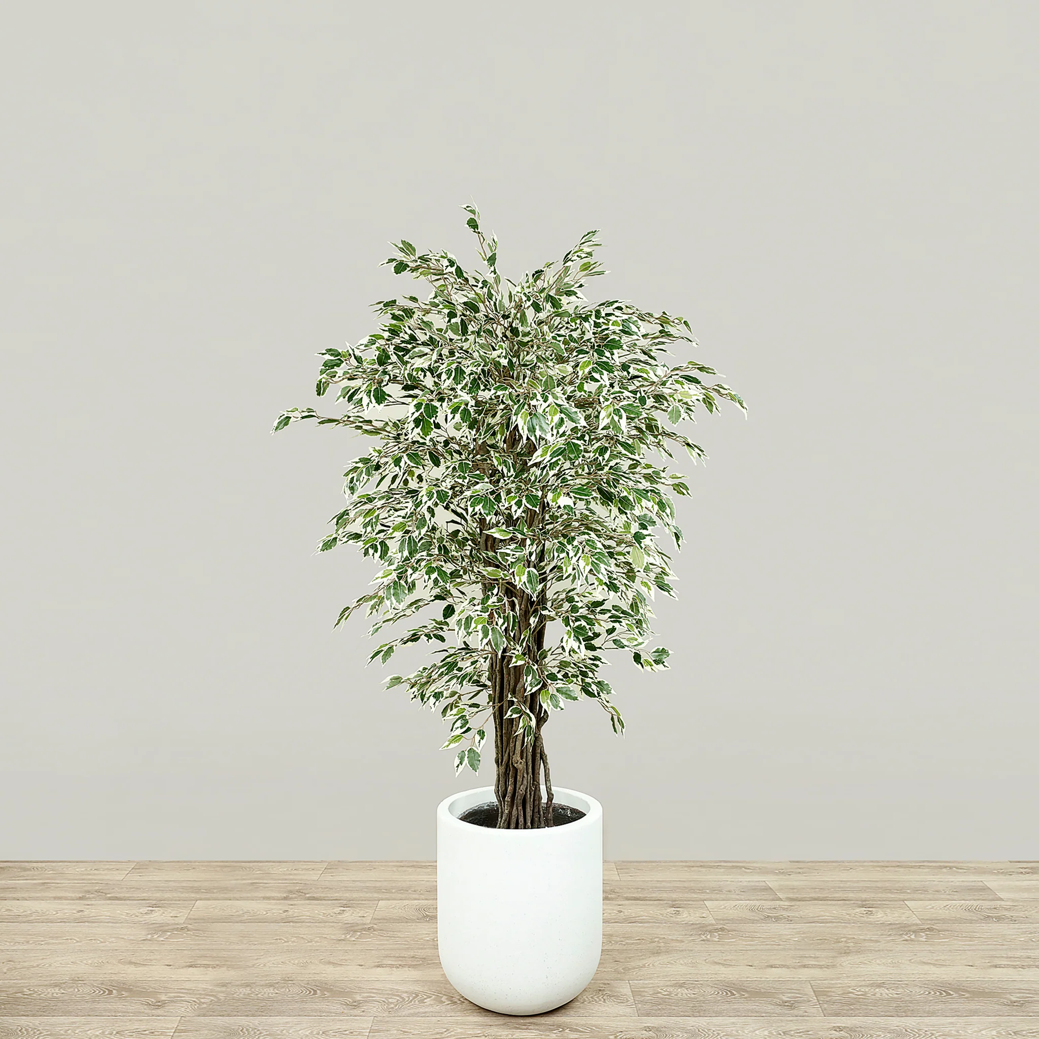 Artificial Mini Ficus Tree 150cm