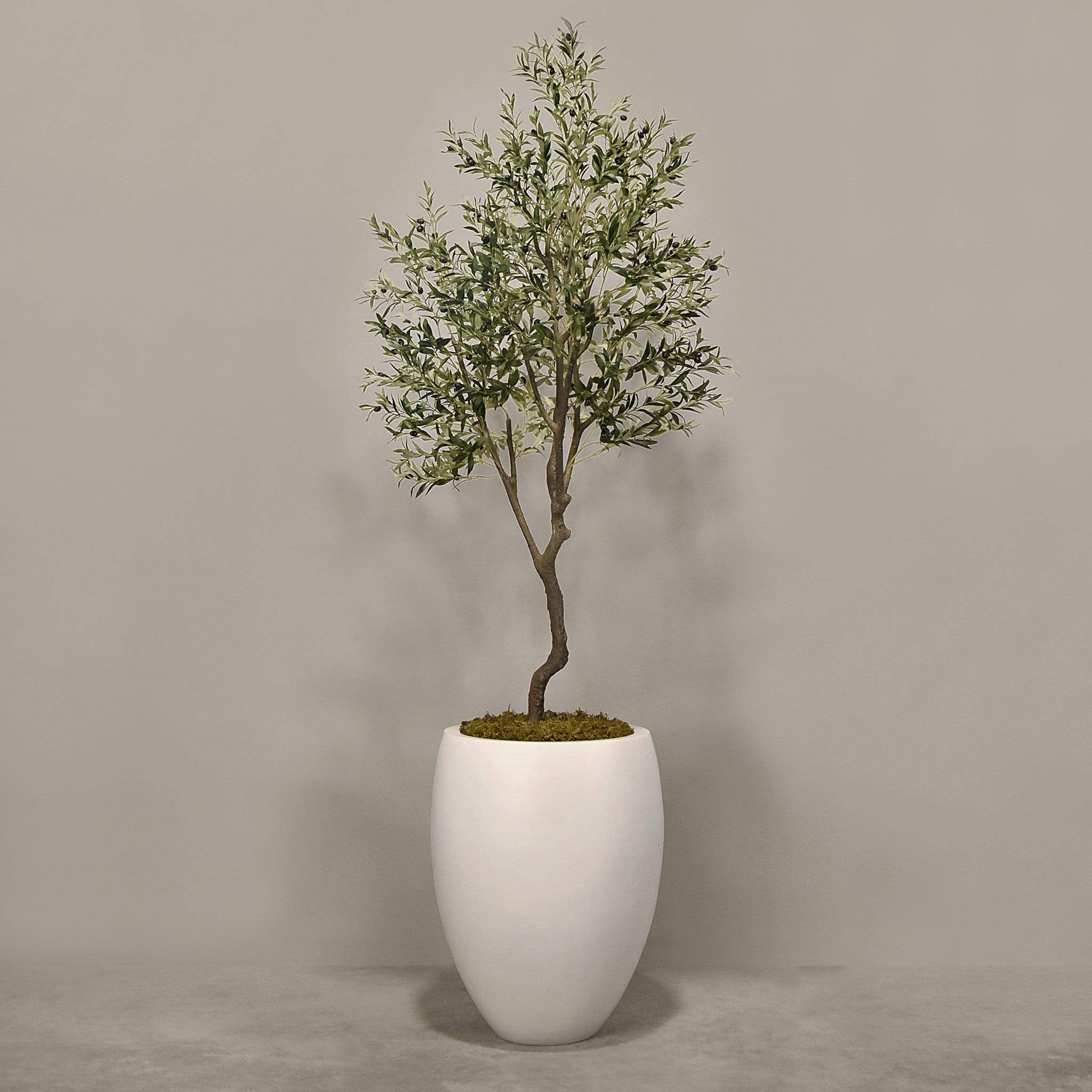 Artificial Olive Tree With Pot - Image 4